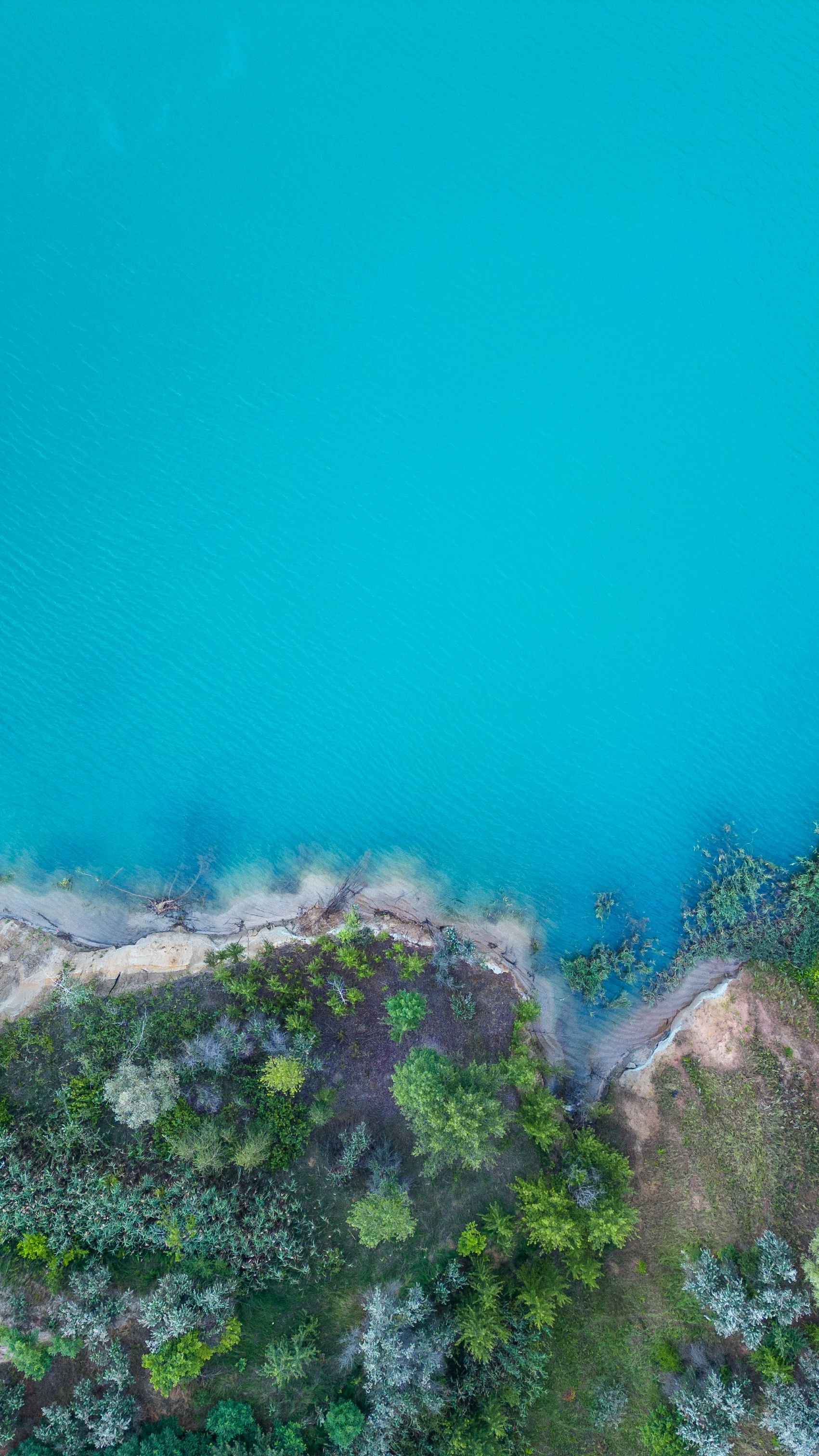 Wallpapers