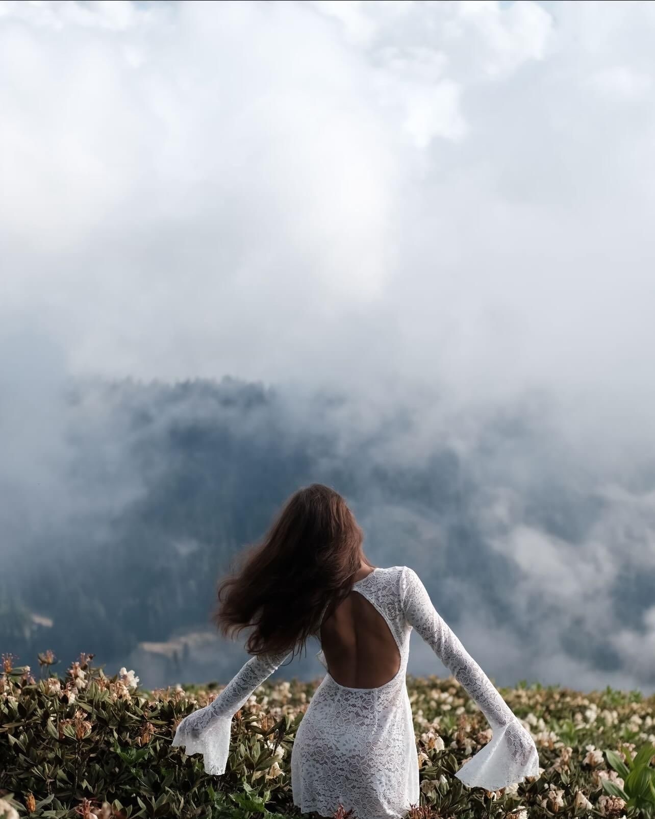 Landscapes