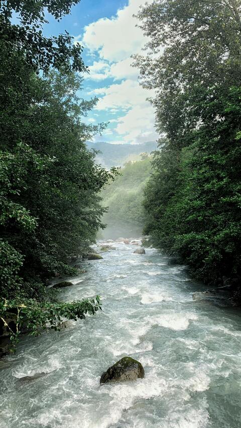 Image 1622125 — Images