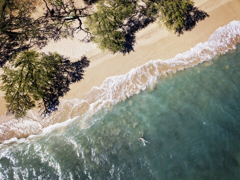 Aerial View of Tropical Beach