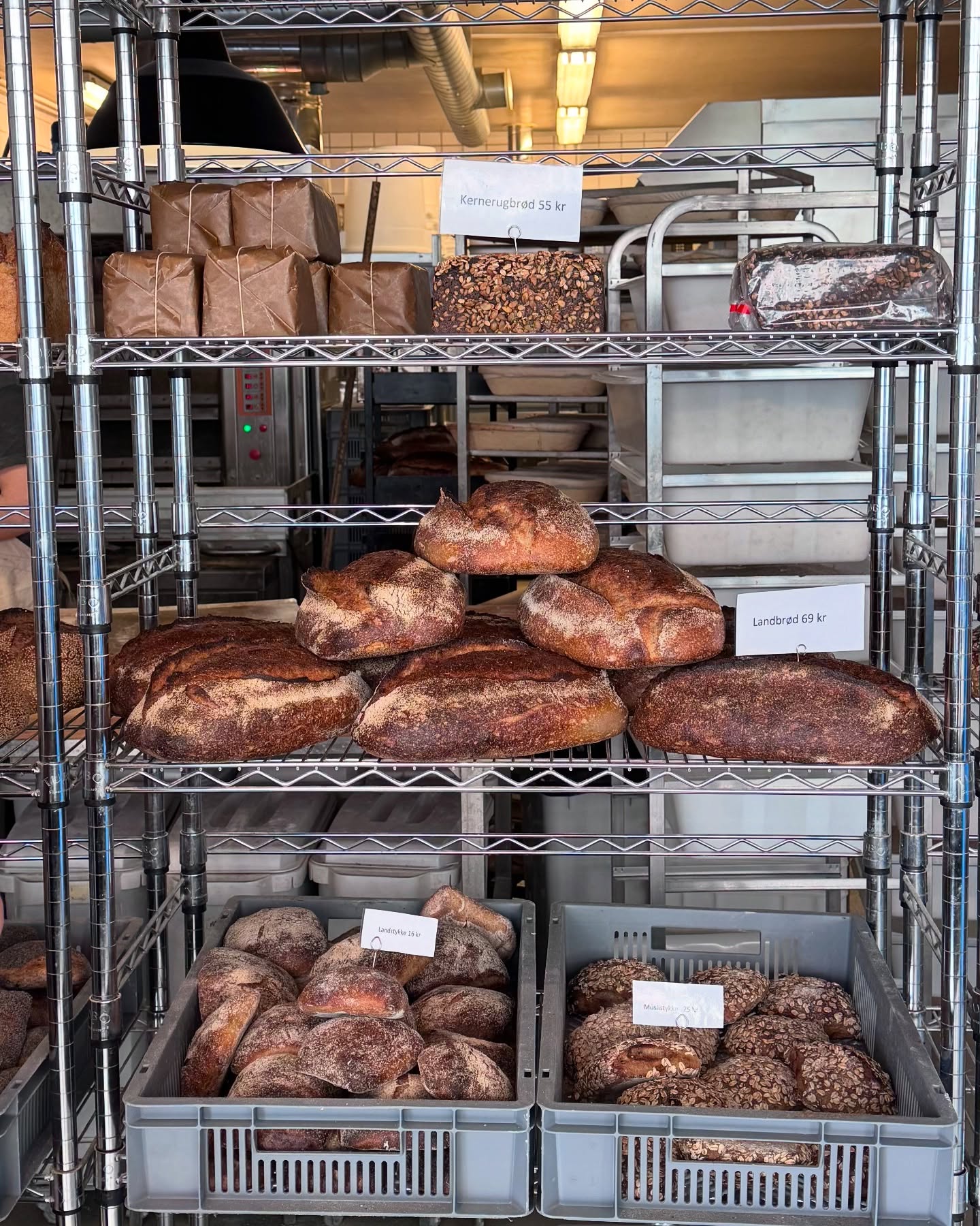 Assorted Breads on Bakery Display Shelf