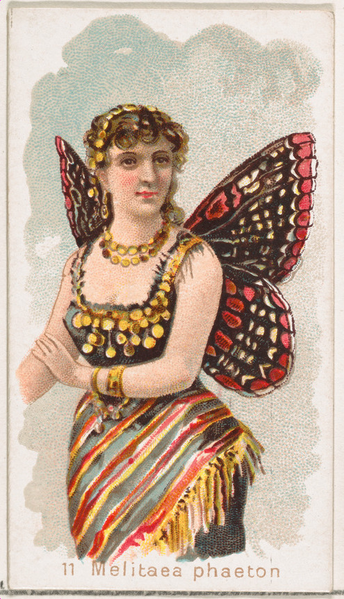 Melitaea Phaeton Butterfly Fairy Illustration