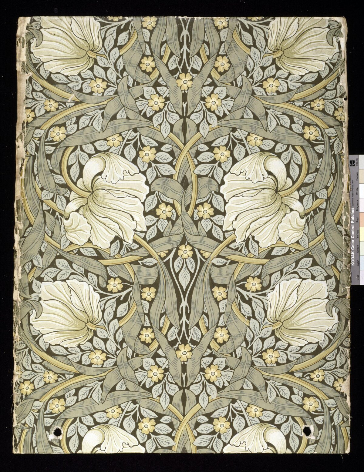 Vintage Floral Wallpaper Pattern Sample