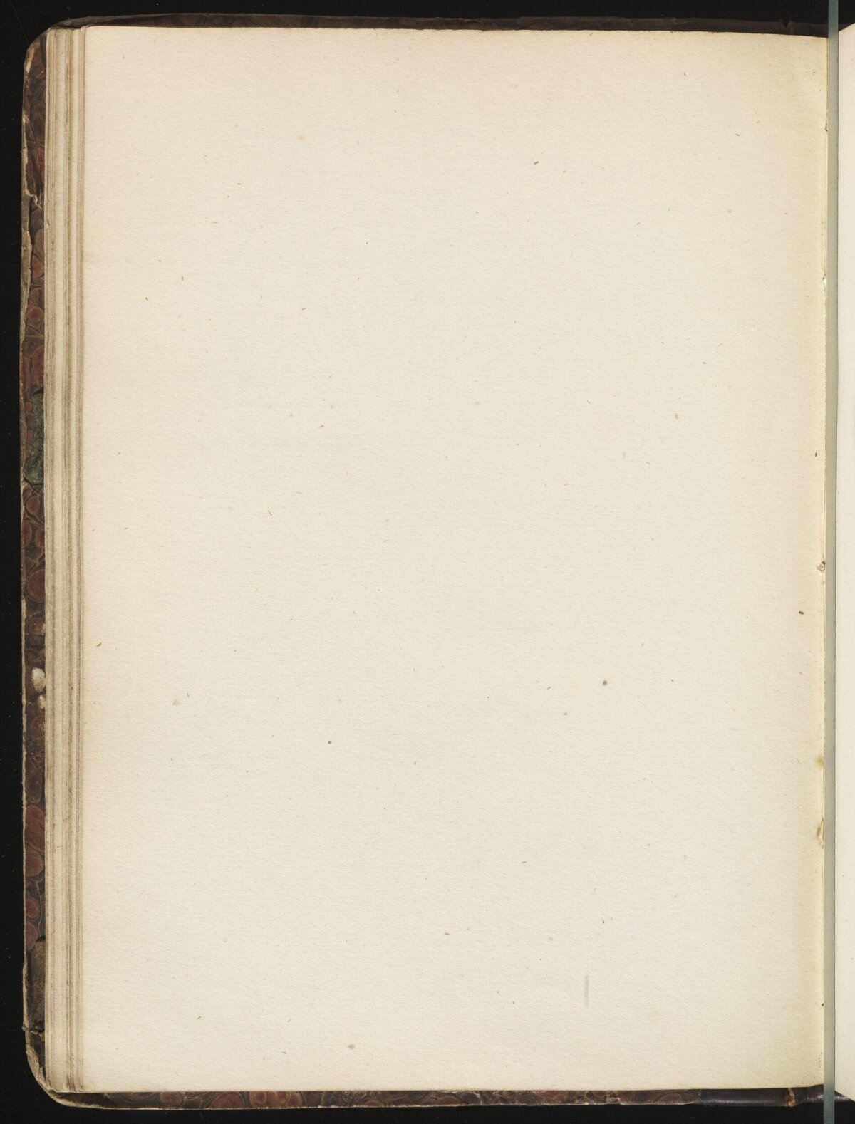 Blank Page of an Old Book — White Backgrounds
