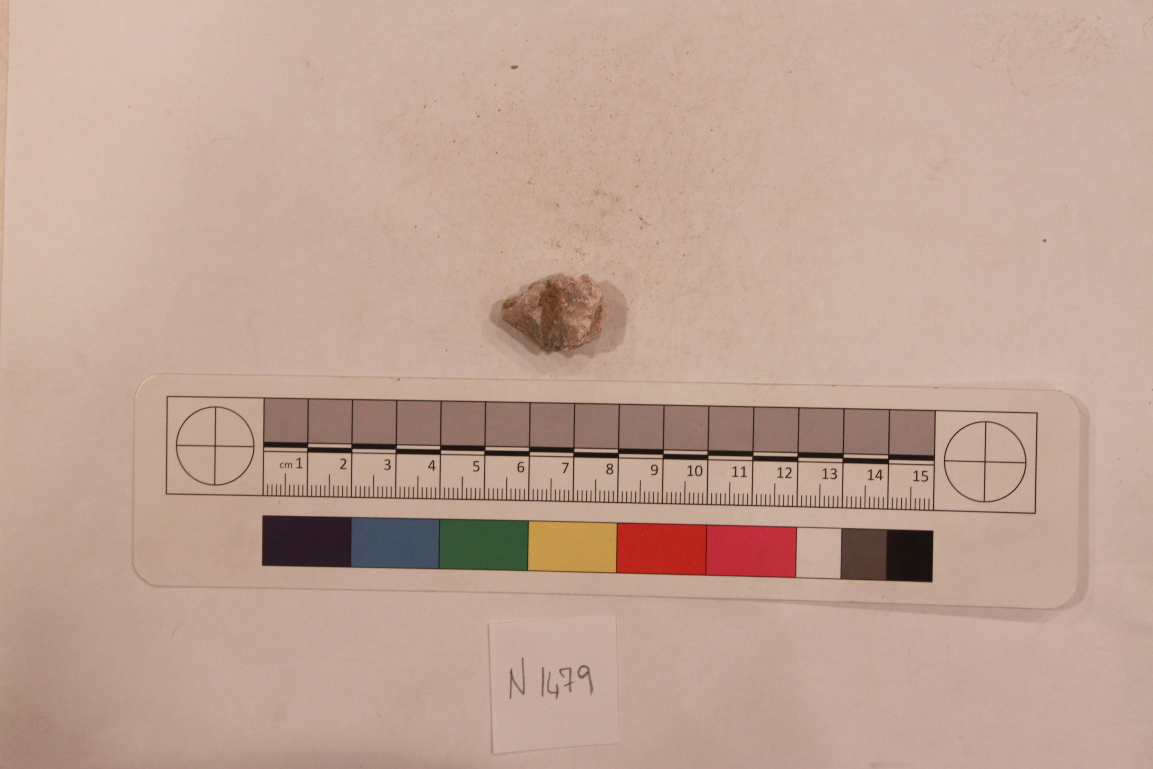 Archaeological Specimen N1479