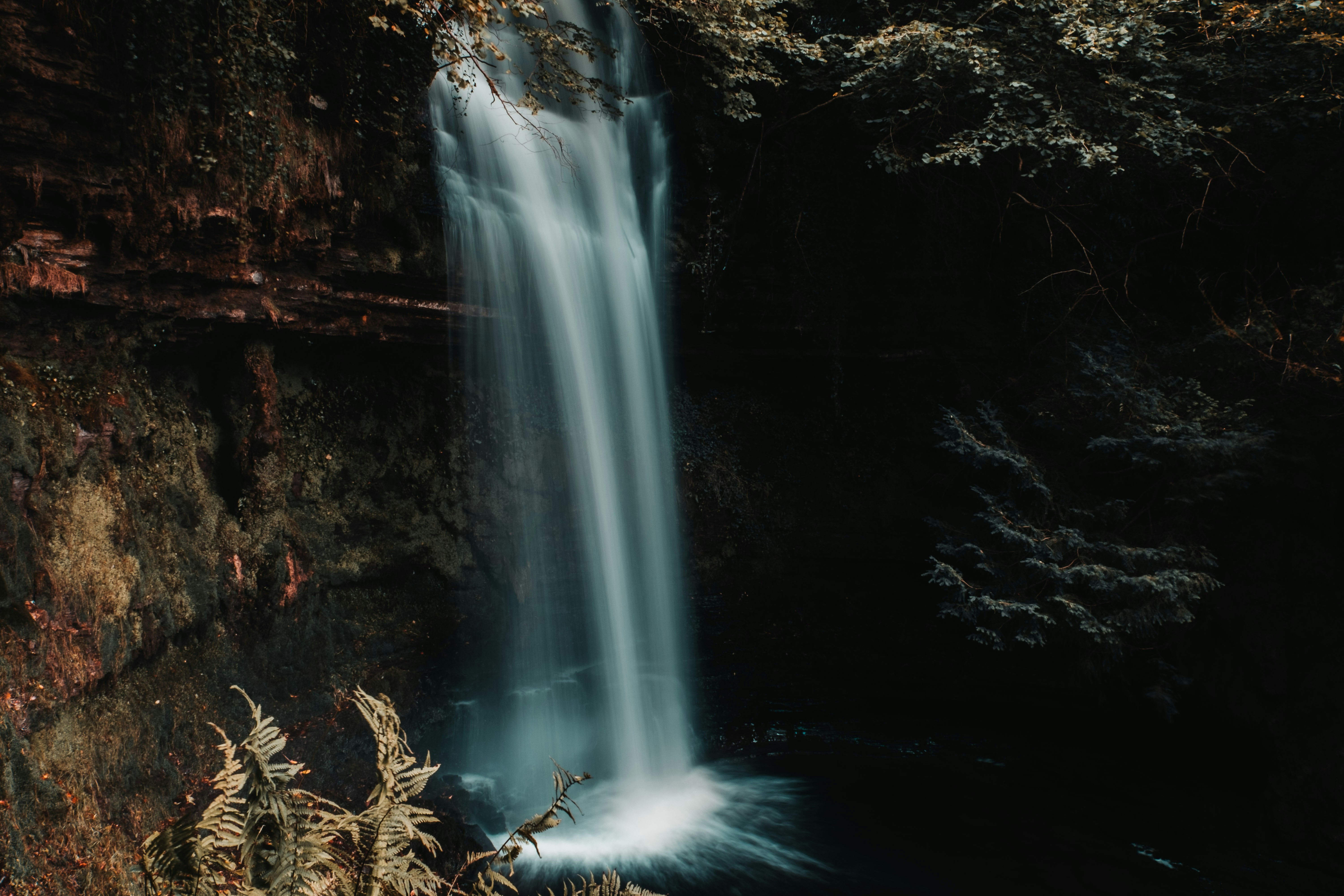 Hidden Forest Waterfall
