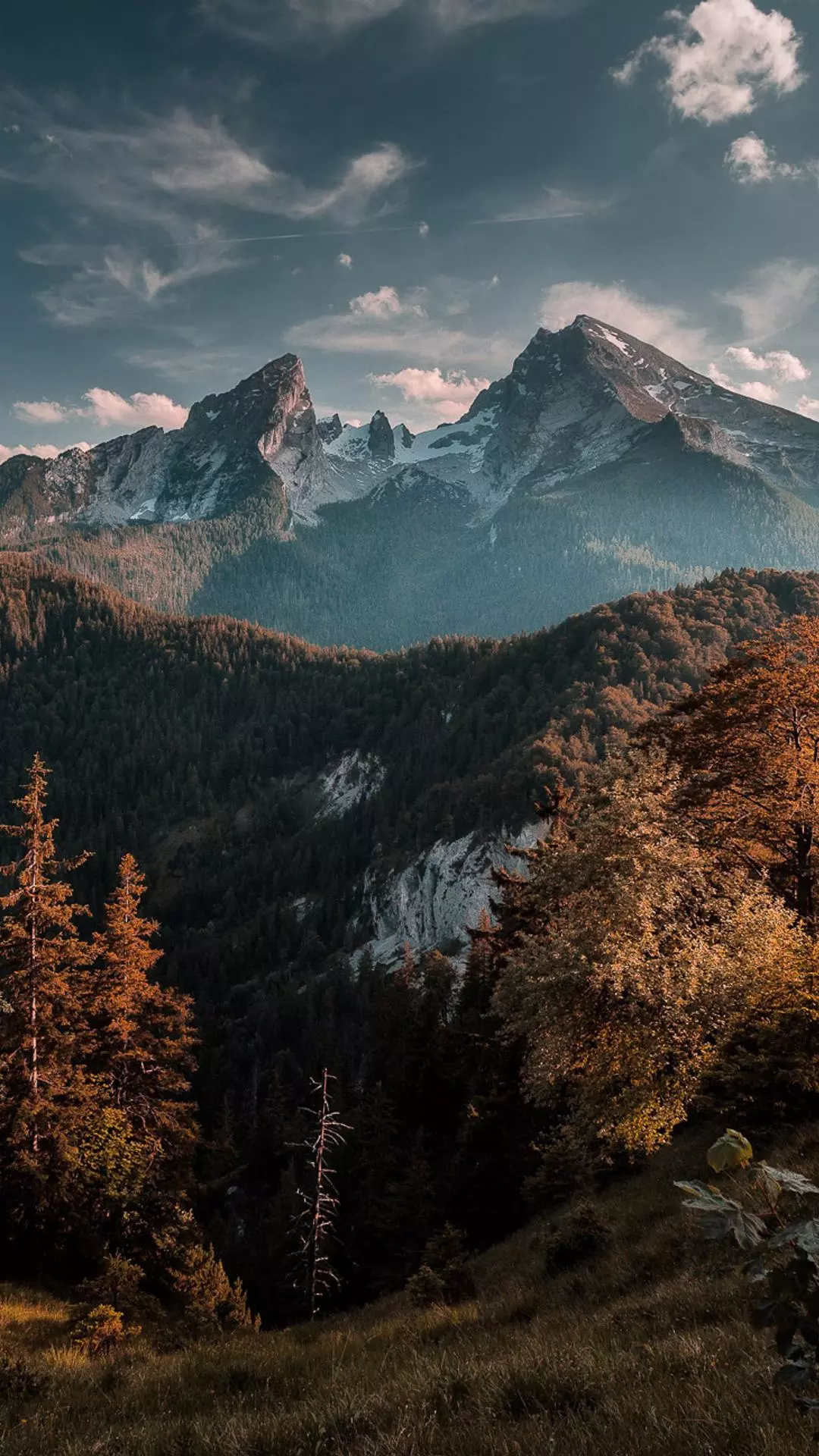 Wallpapers