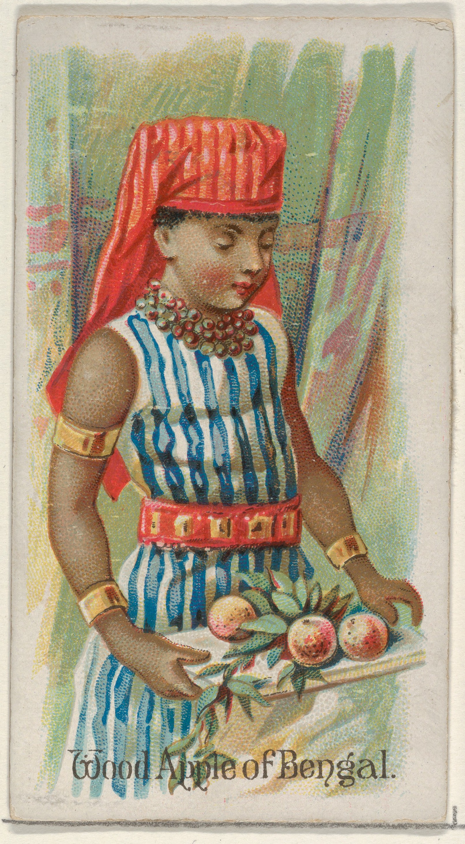 Wood Apple of Bengal Vintage Illustration