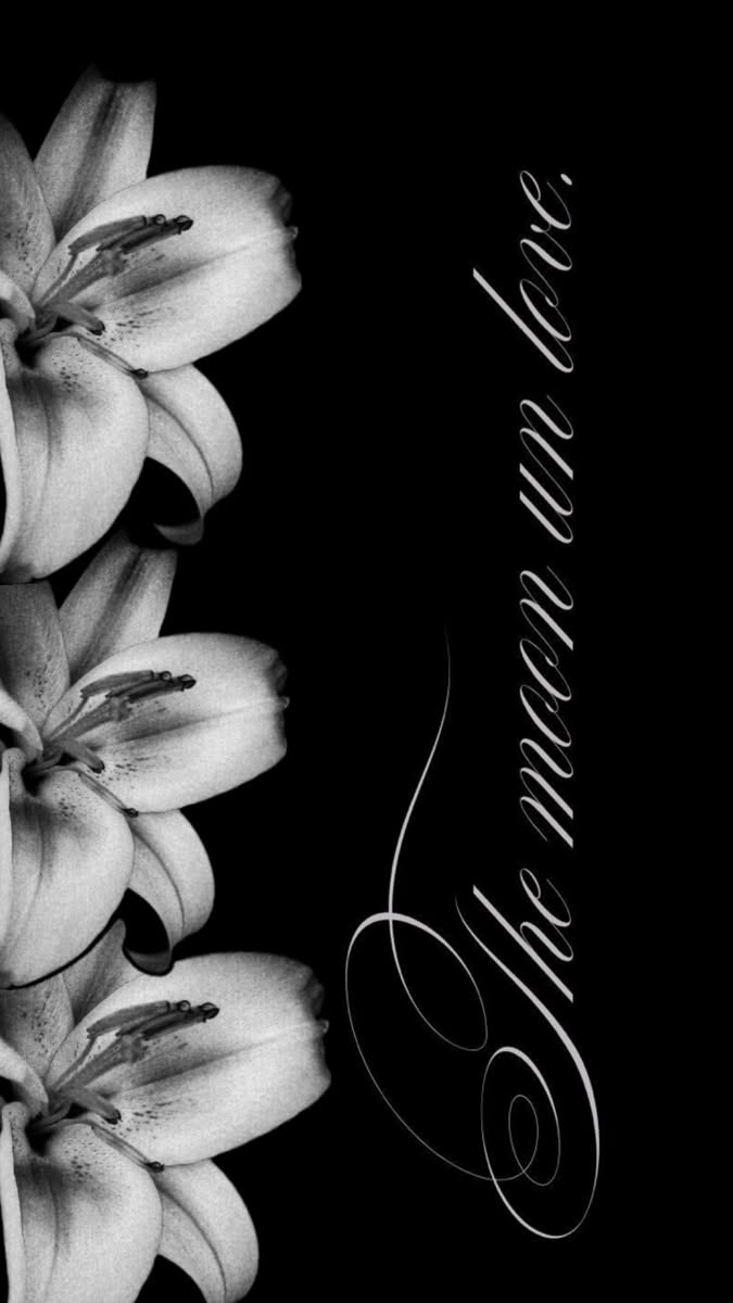 Wallpapers