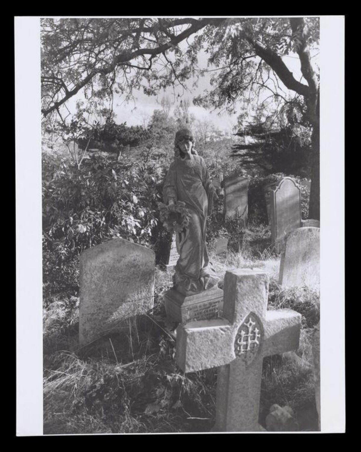 Overgrown Old Cemetery Scene