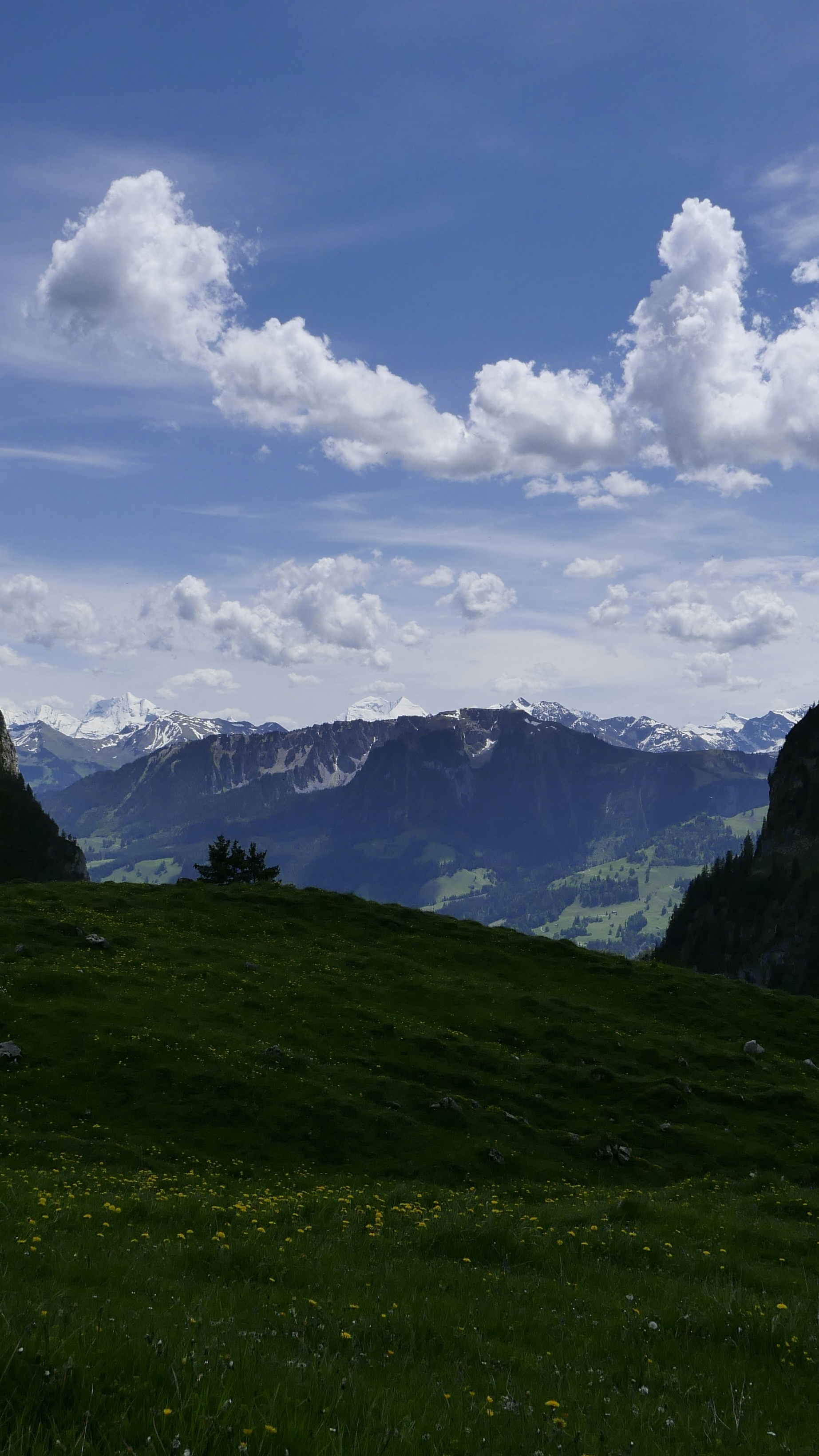 Wallpapers