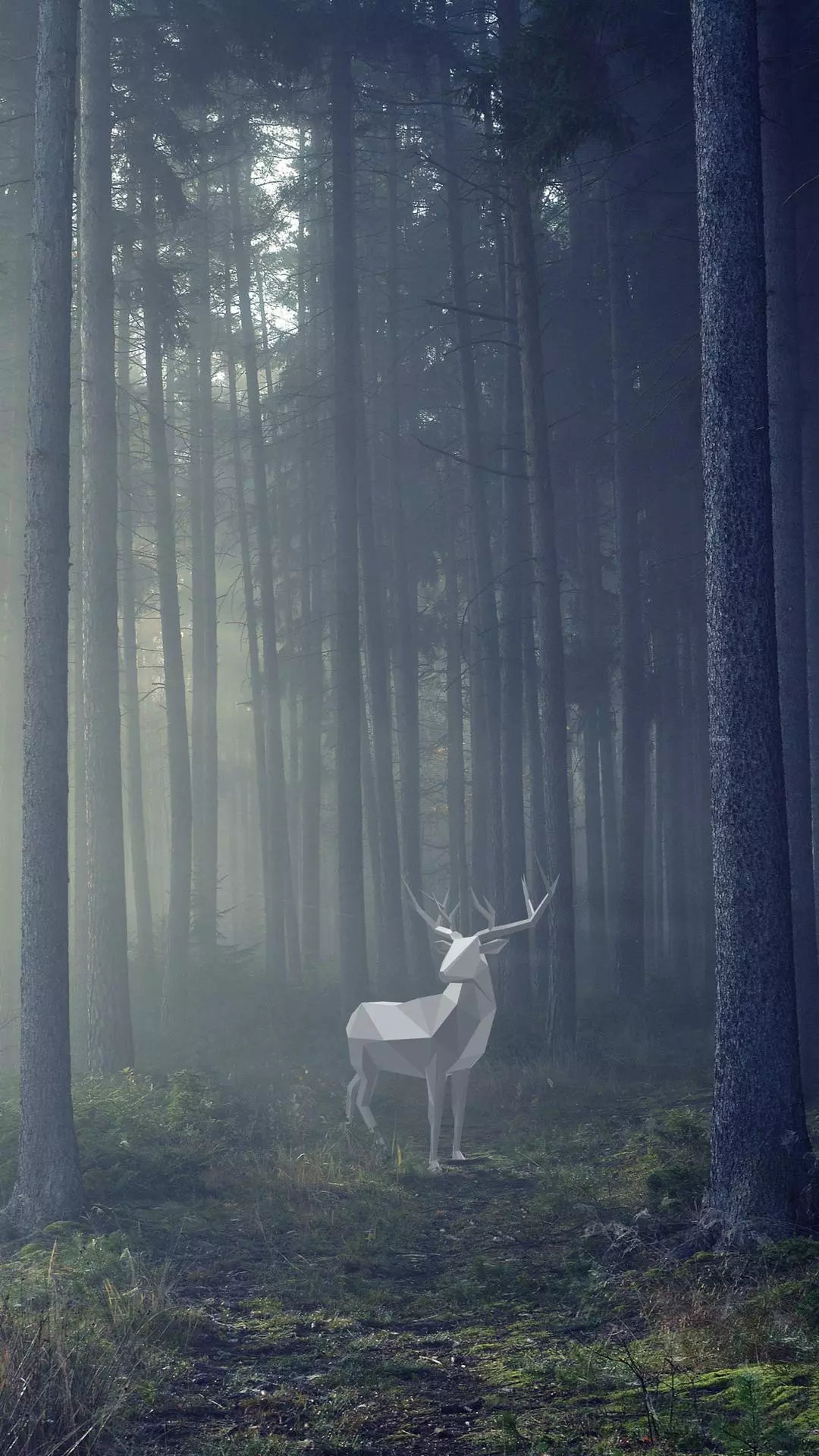 Wallpapers