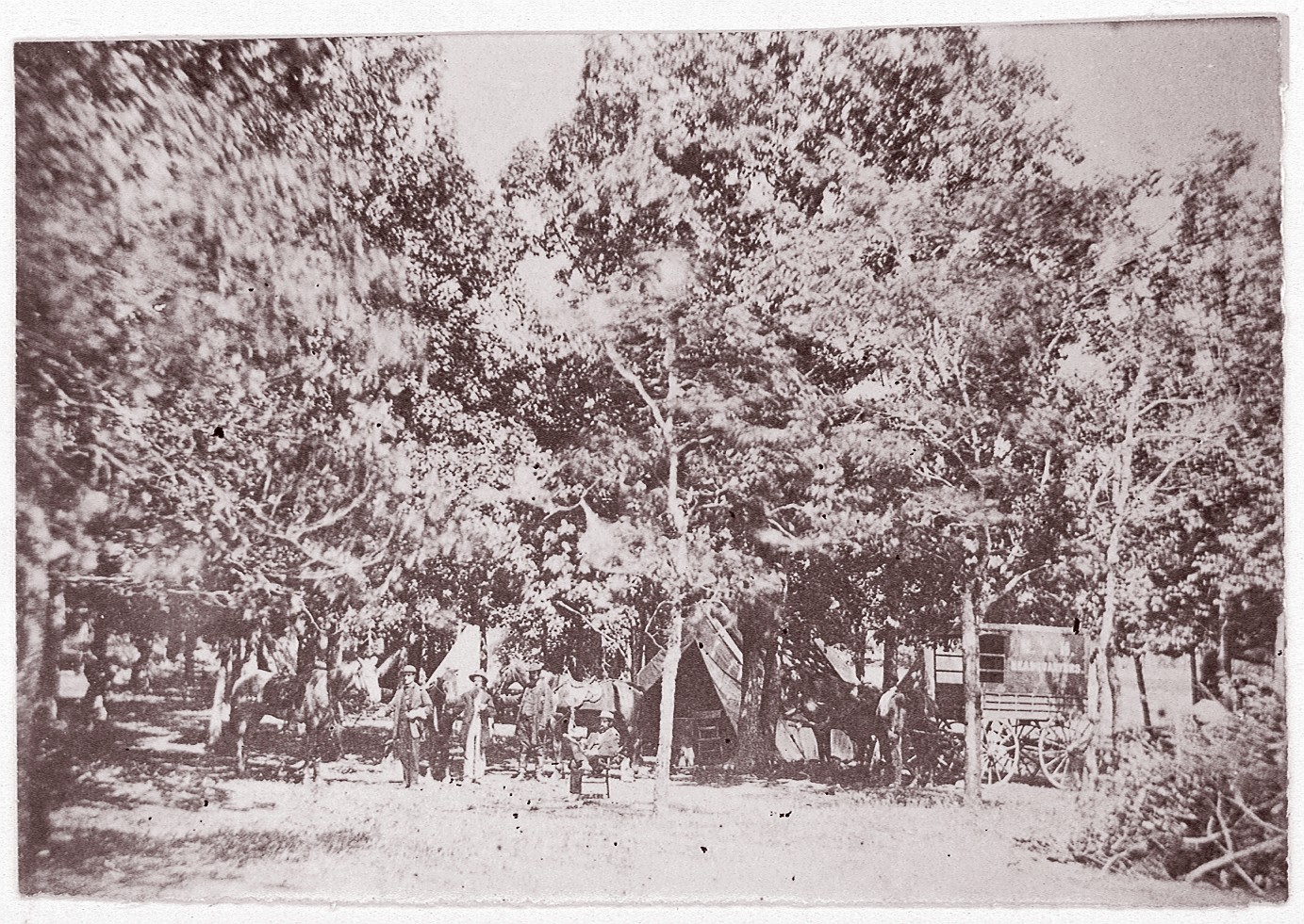 Vintage Military Camp among Trees