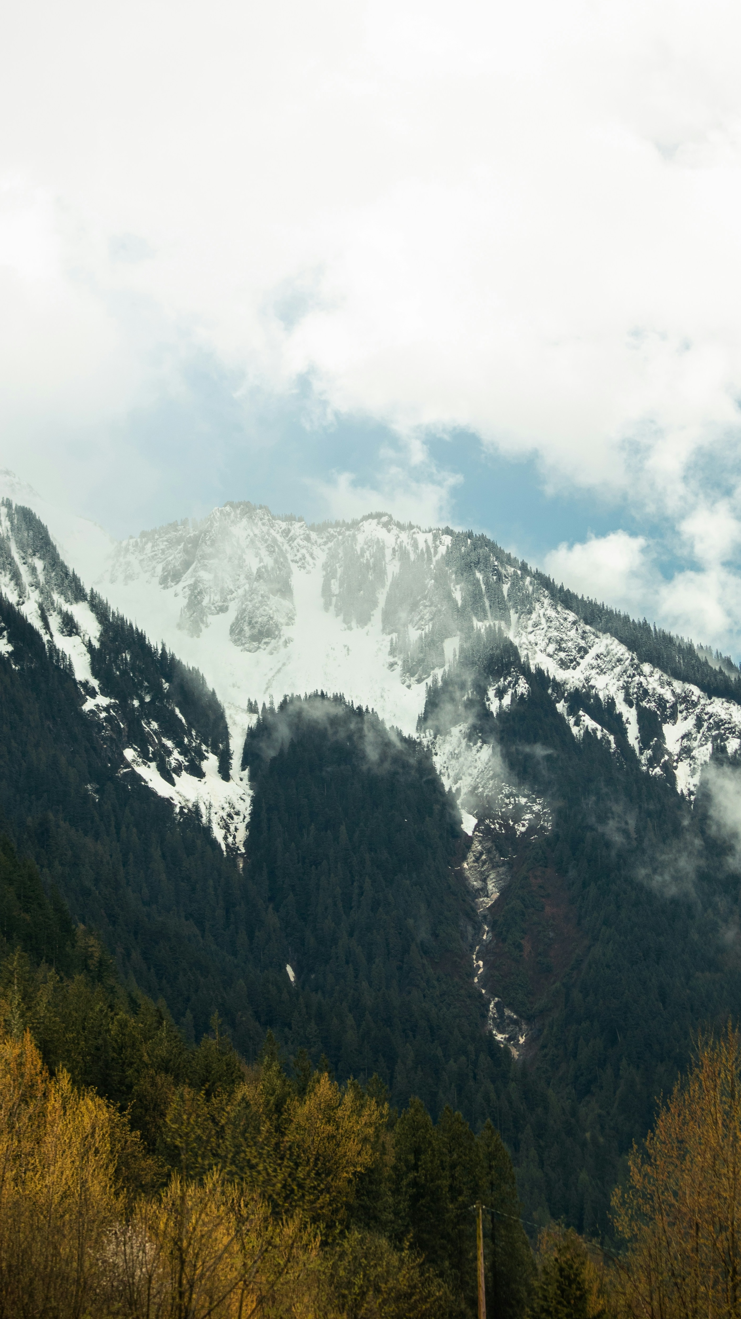 Snow-capped Mountain Forest Landscape