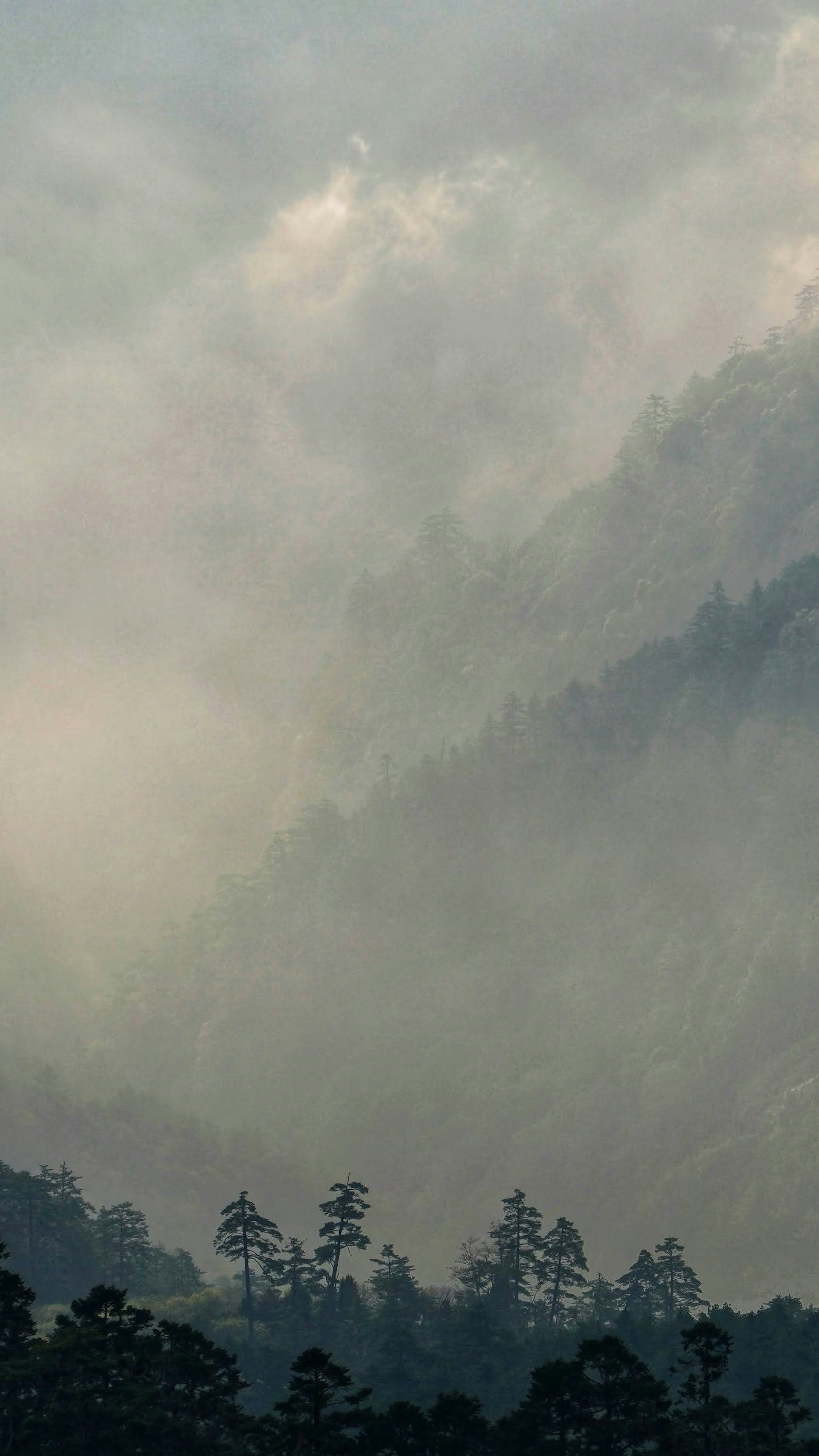 Landscapes