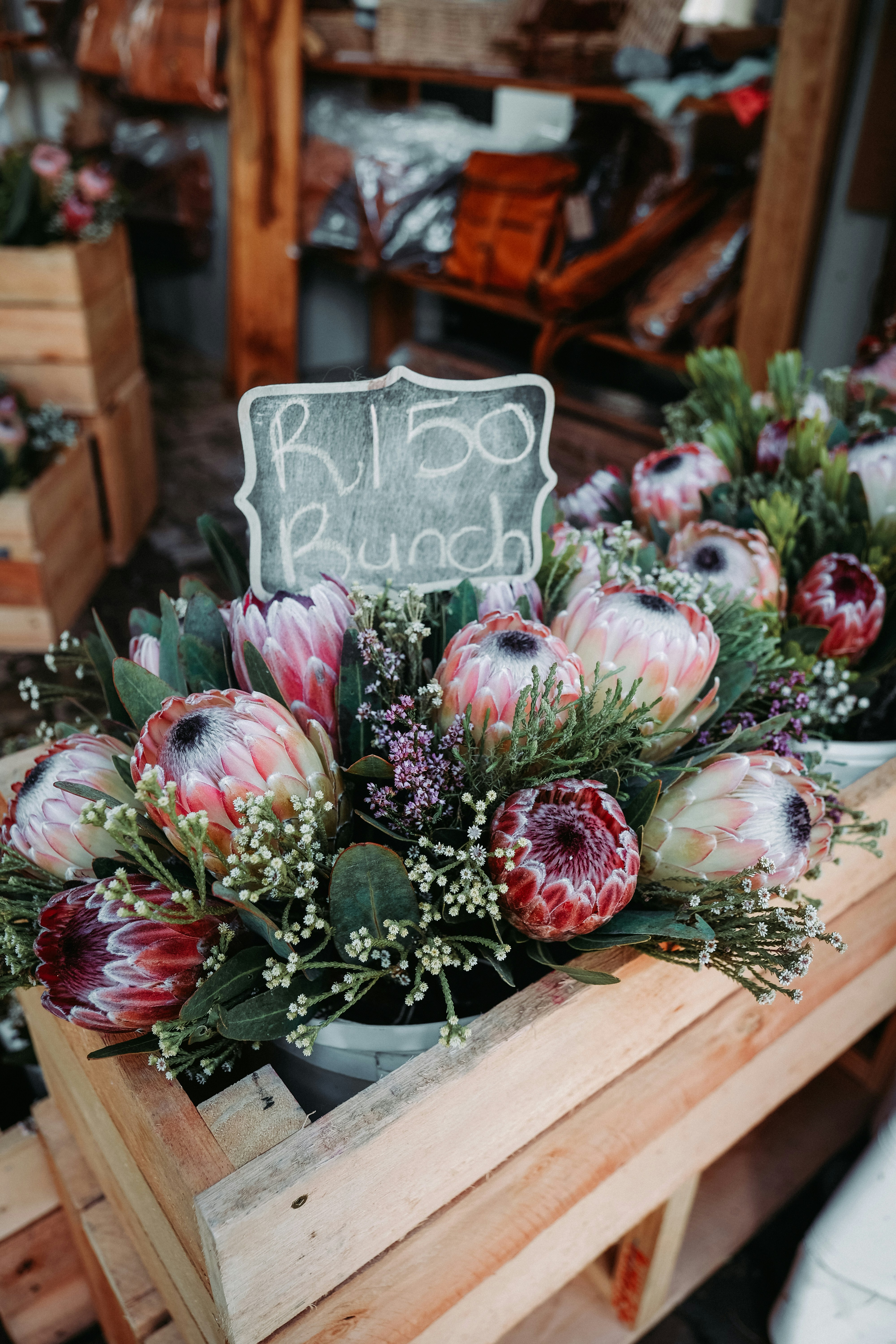 Protea Flower Bunch for Sale