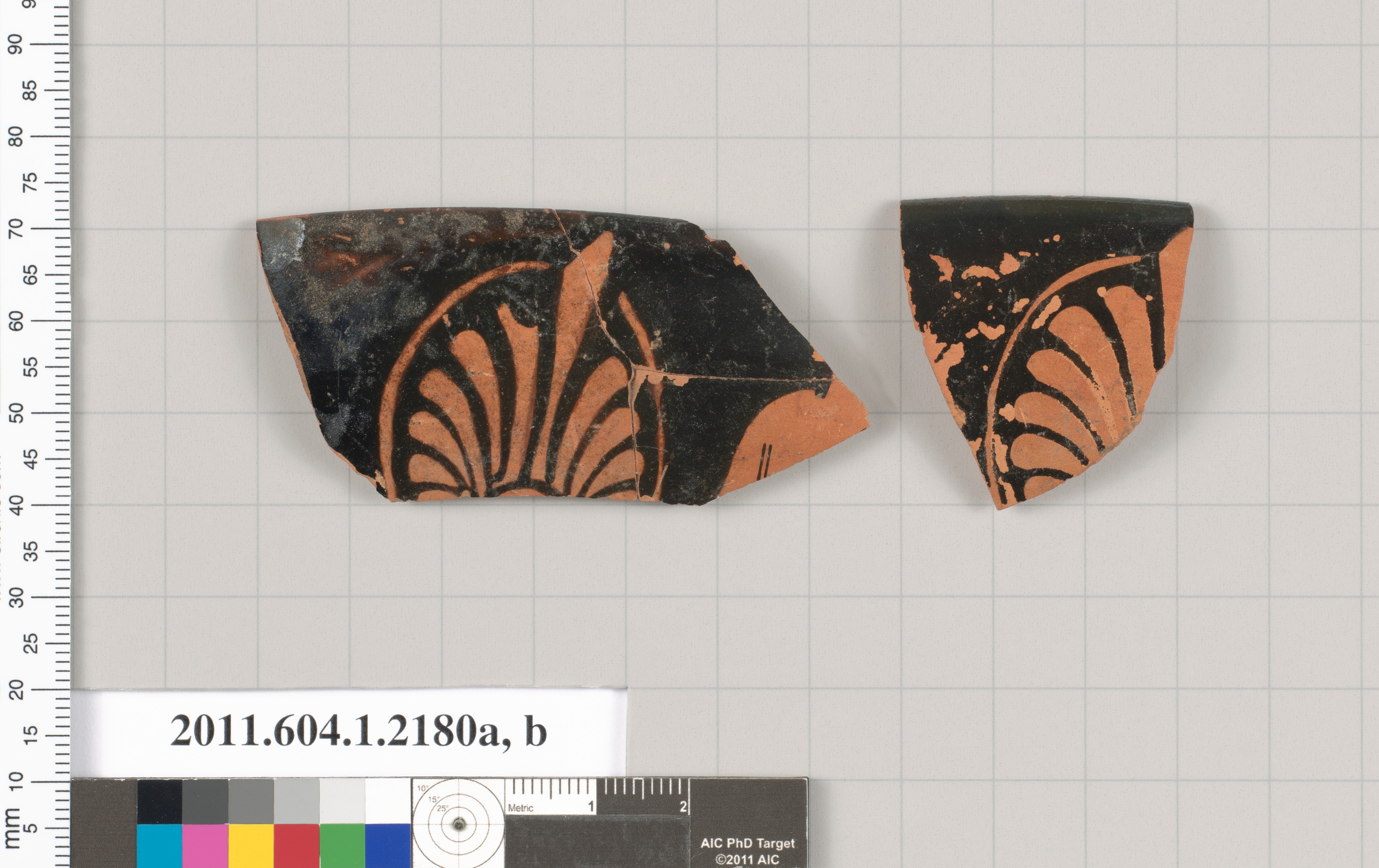 Two Ancient Pottery Shards