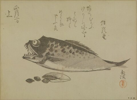 Japanese Ink Painting of Fish and Shells