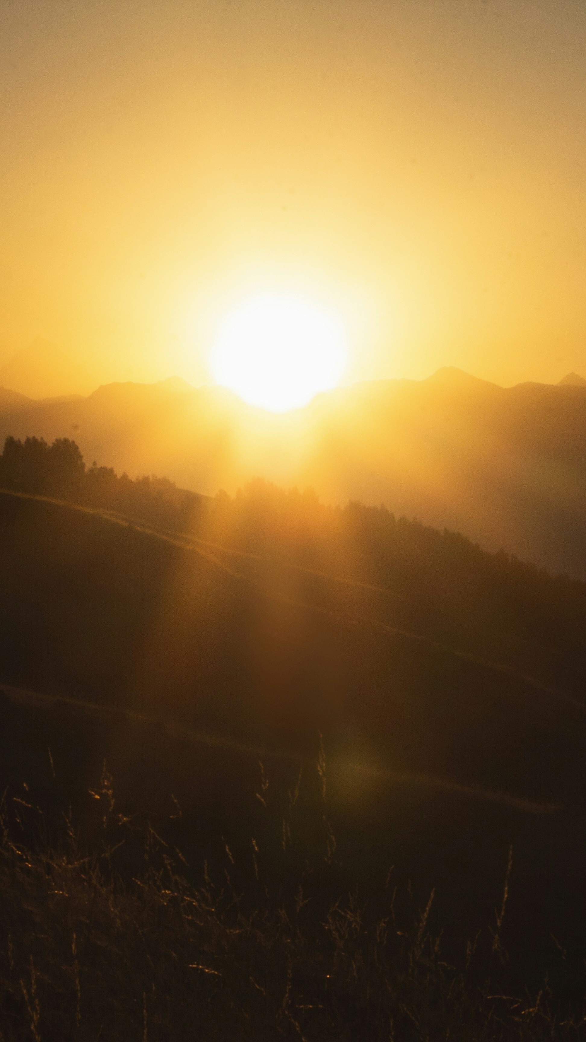 Landscapes