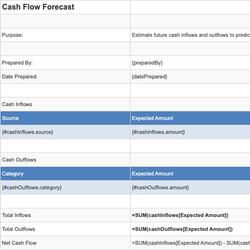 Cash Flow Forecast