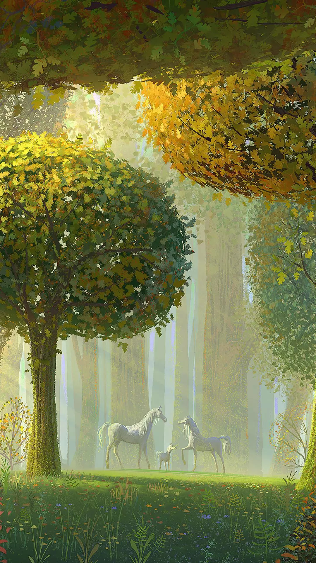 Wallpapers