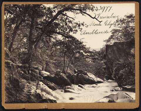 Stock Ghyll River View Ambleside