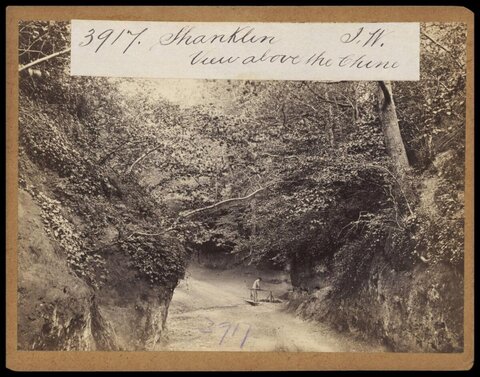 Shanklin View Above the Chine