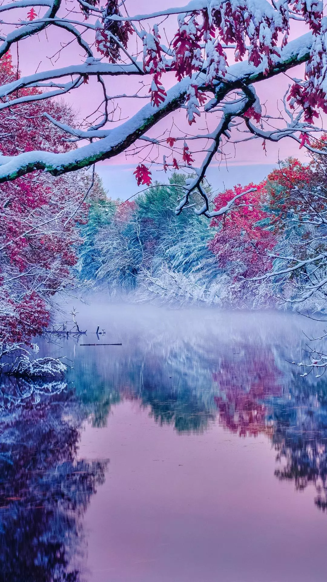 Forest & Flora