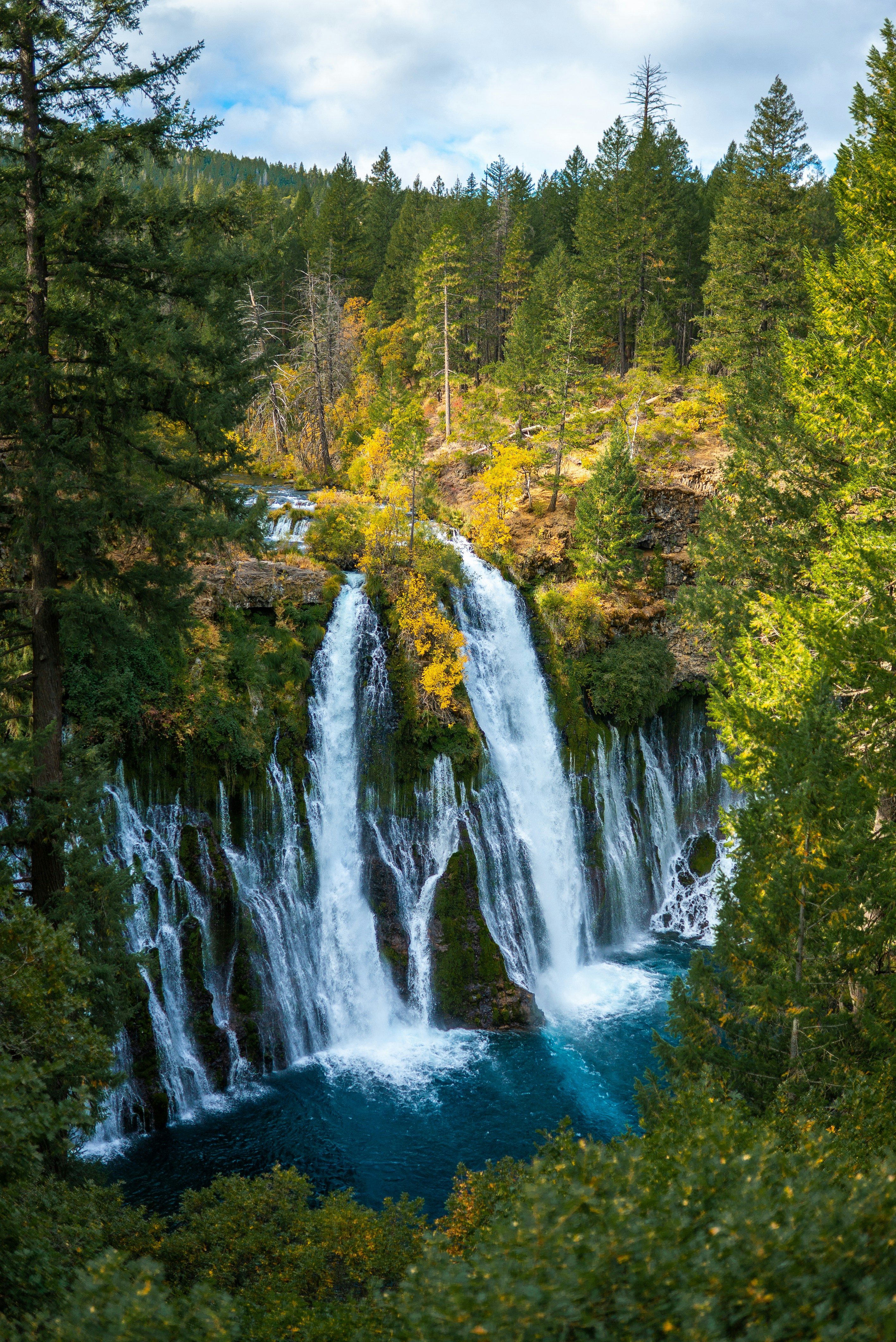 Forest Waterfall in Autumn