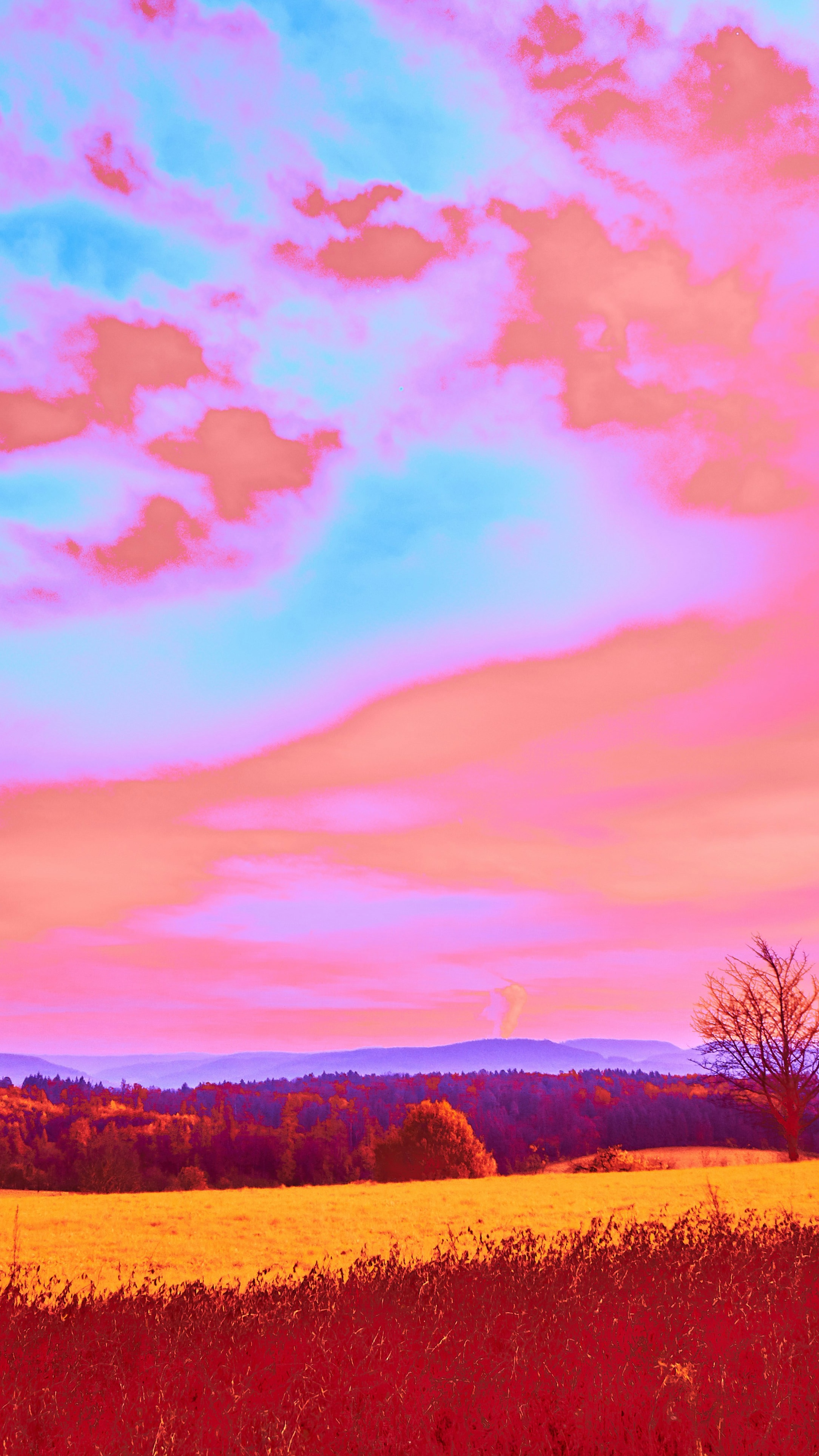 Wallpapers