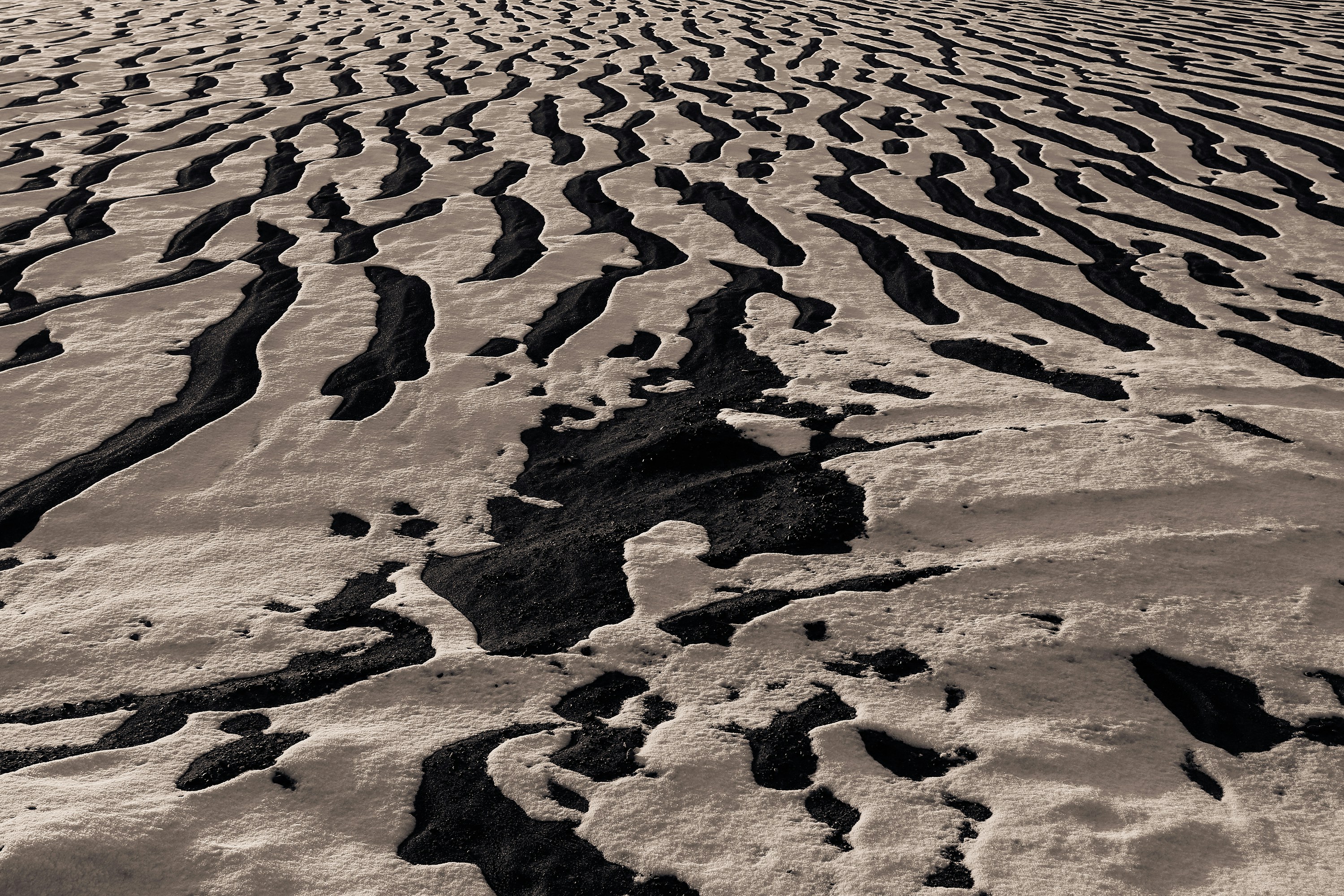 Snow-dusted Rippled Black Sand