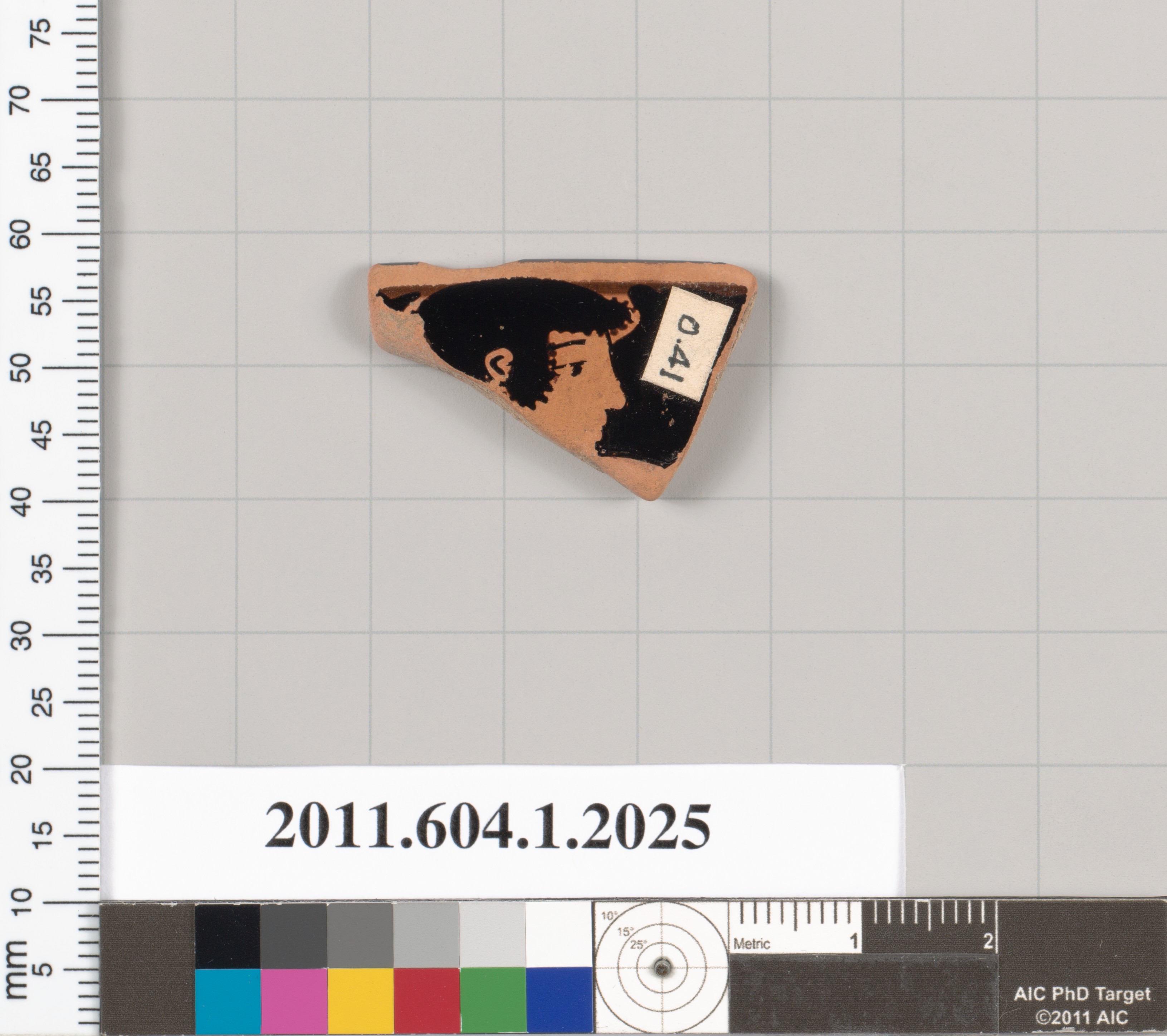 Painted Ancient Pottery Fragment