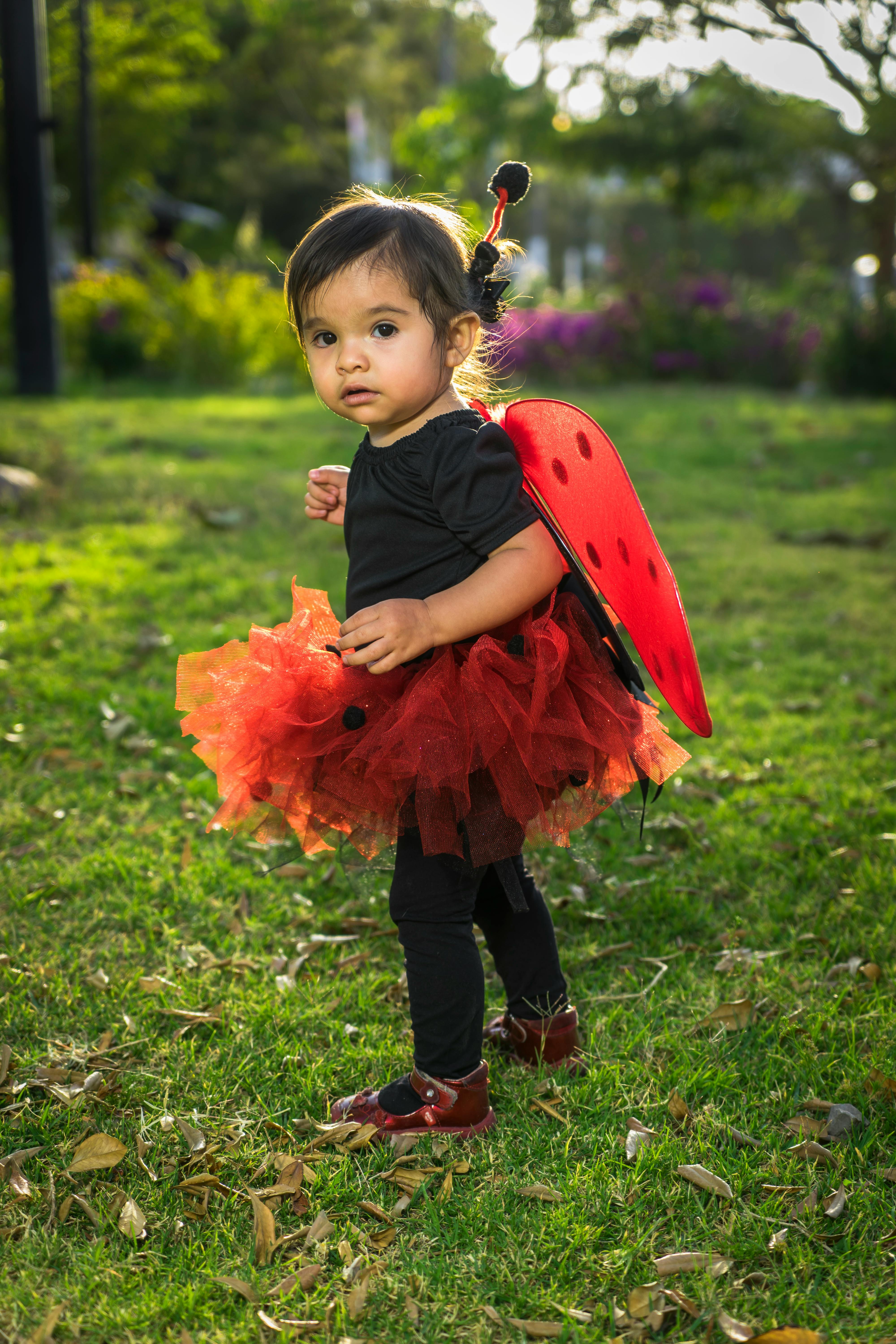Toddler in Ladybug Costume at Park