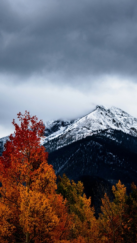 Autumn Foliage and Snow-capped Mountain