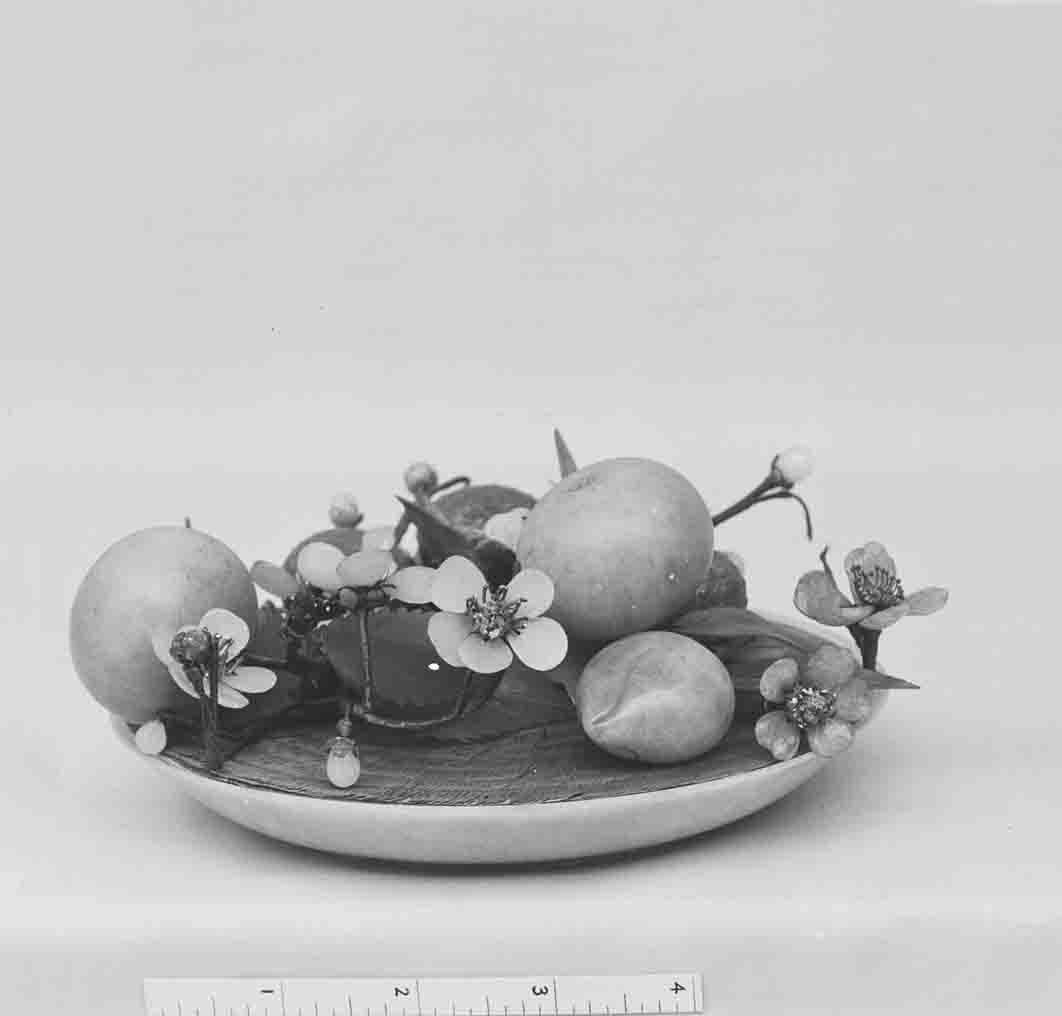 Fruit and Flower Still Life