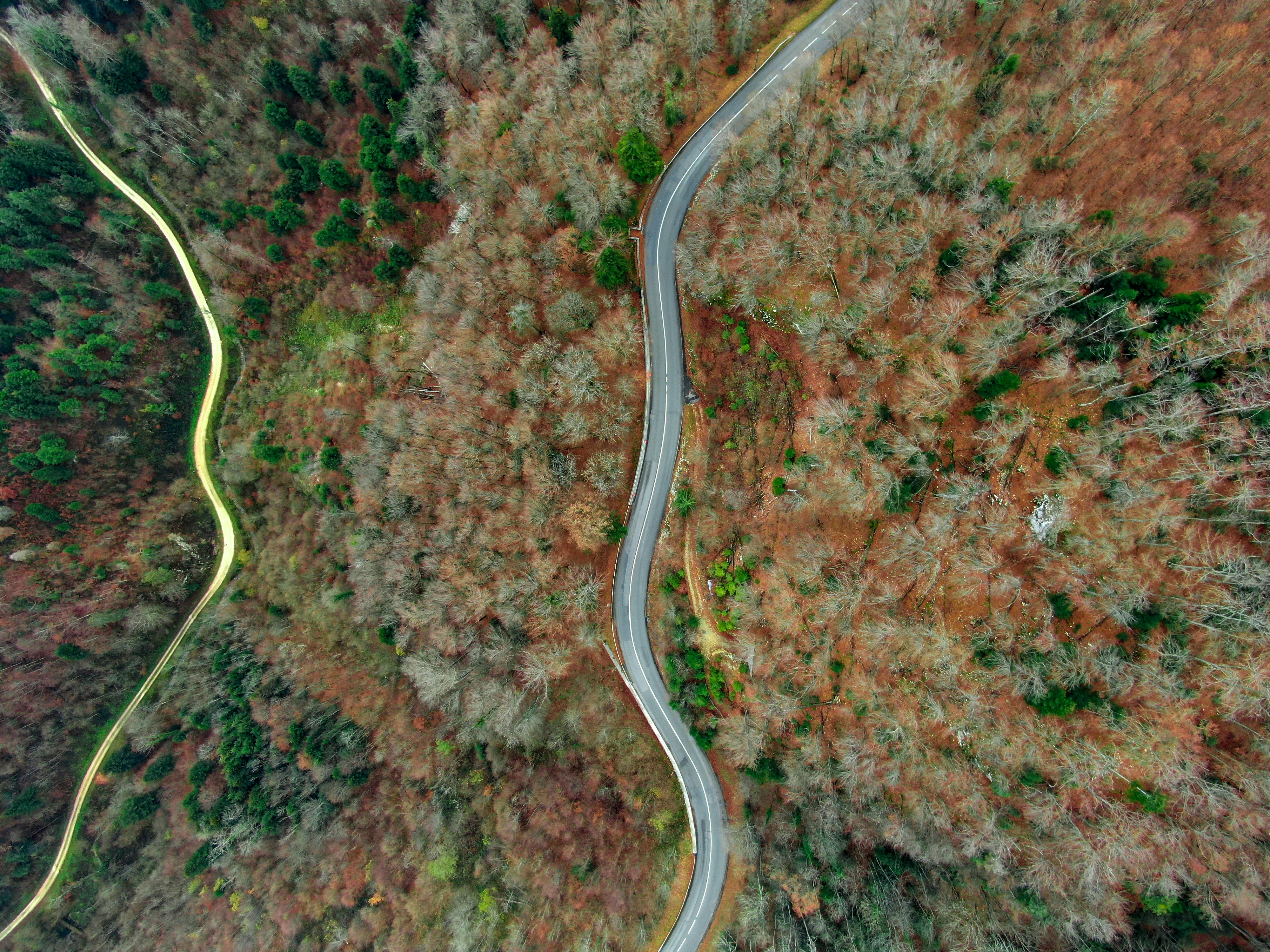 Aerial View of Autumn Forest Winding Road