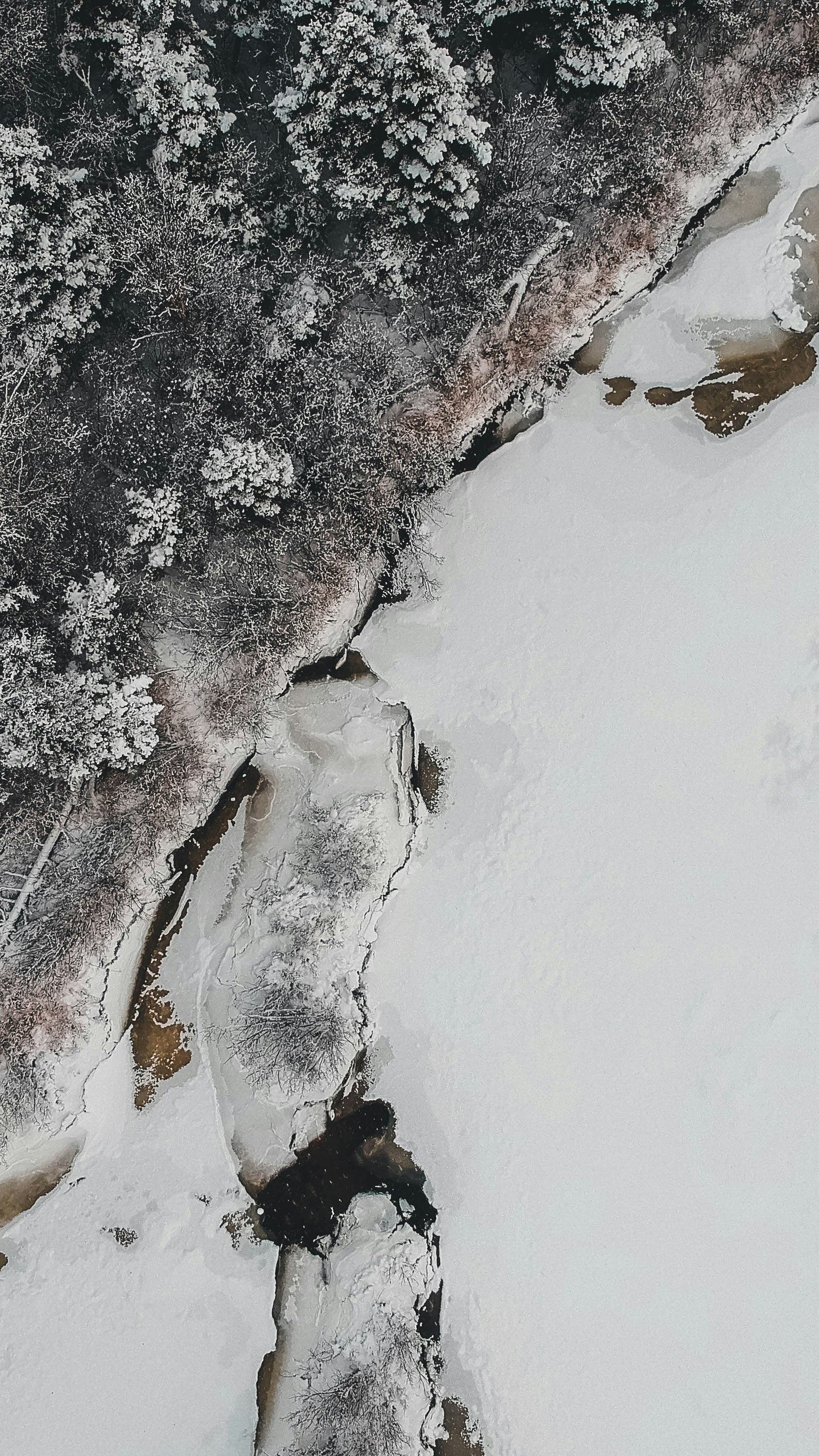 Image 1618949 — Backgrounds