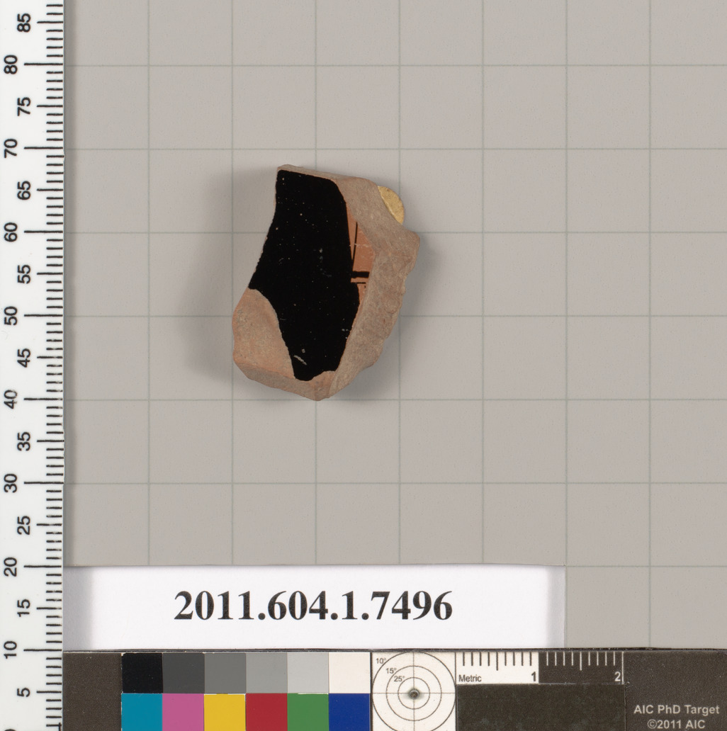 Archaeological Pottery Shard Specimen