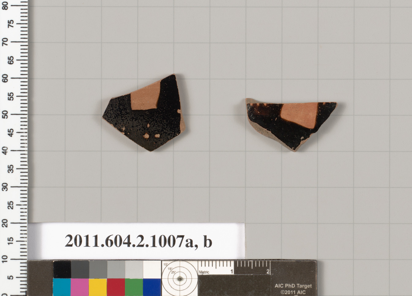 Two Ancient Pottery Fragments