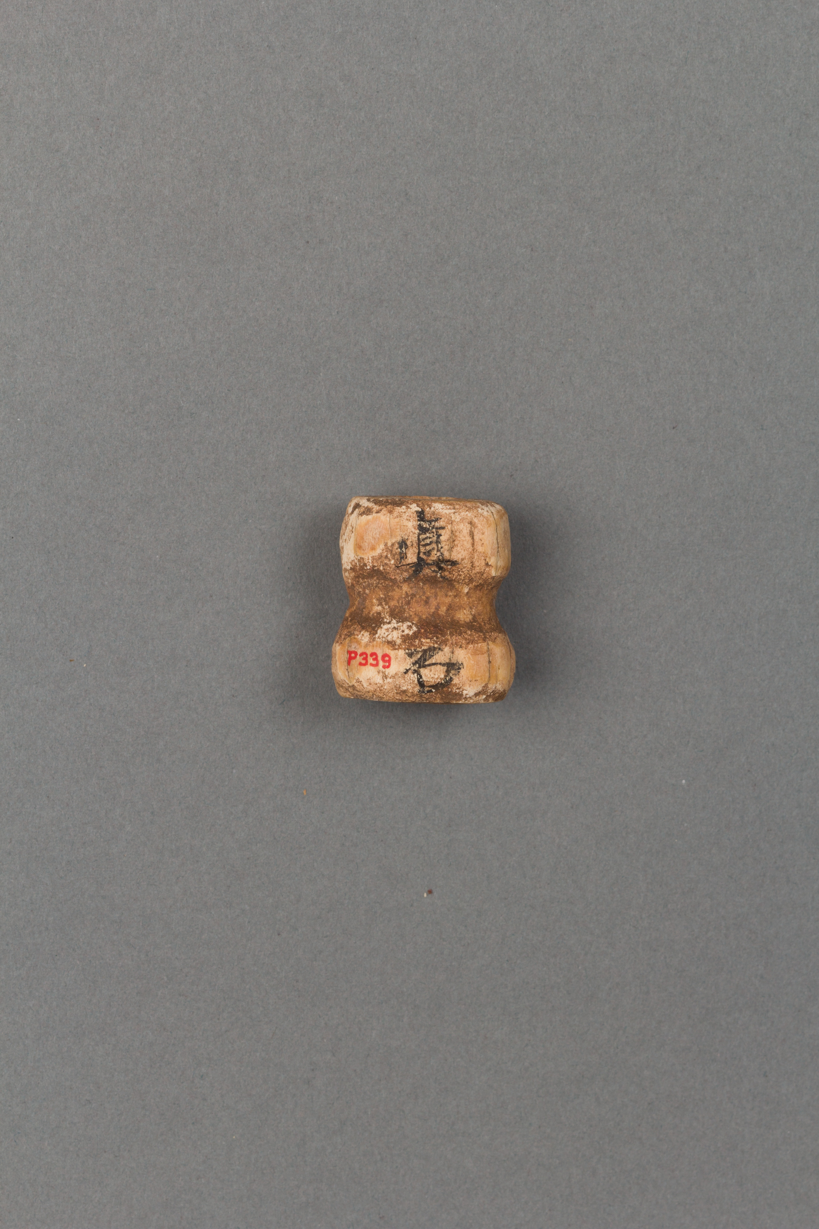Ancient Inscribed Bone Specimen