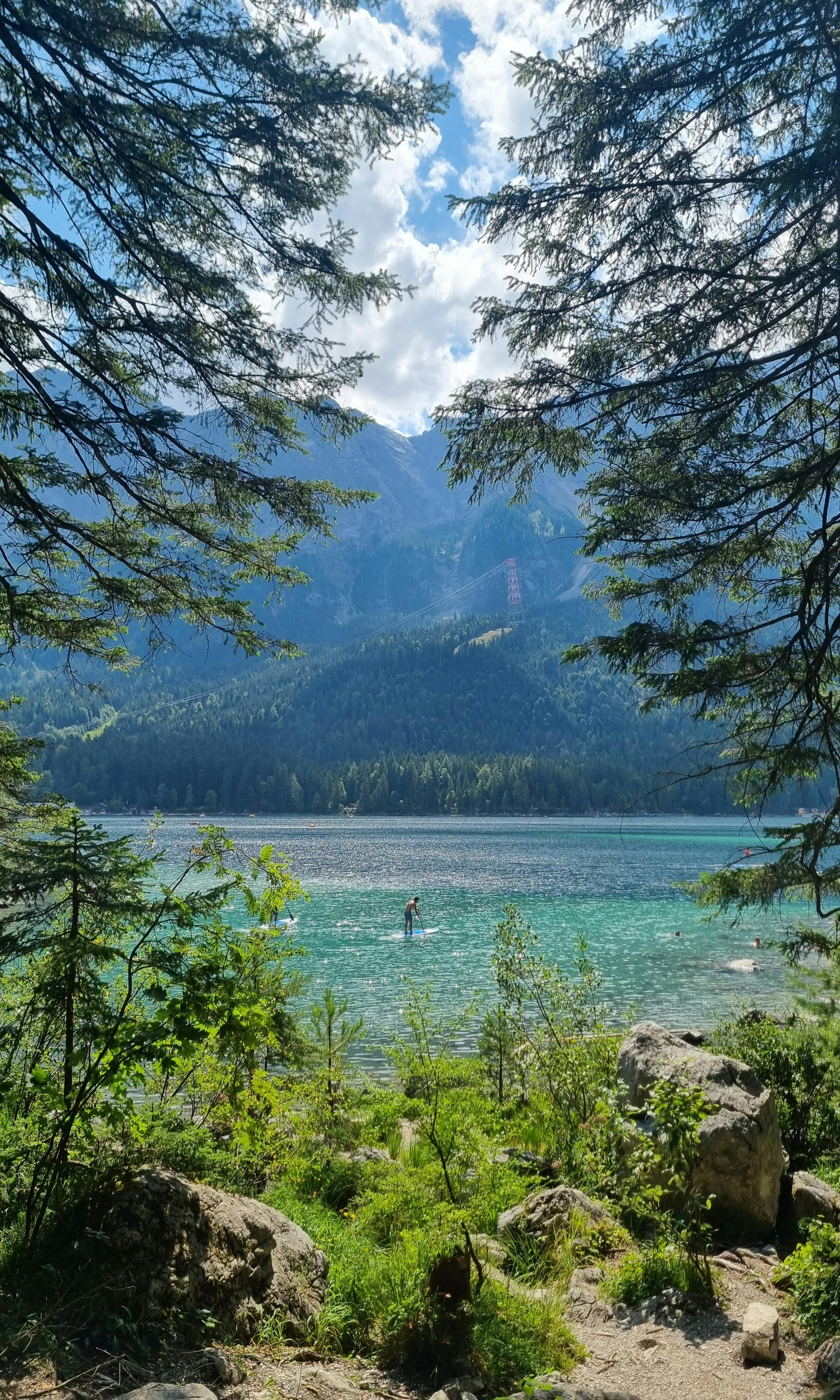Mountain Lake View From Forest Shore