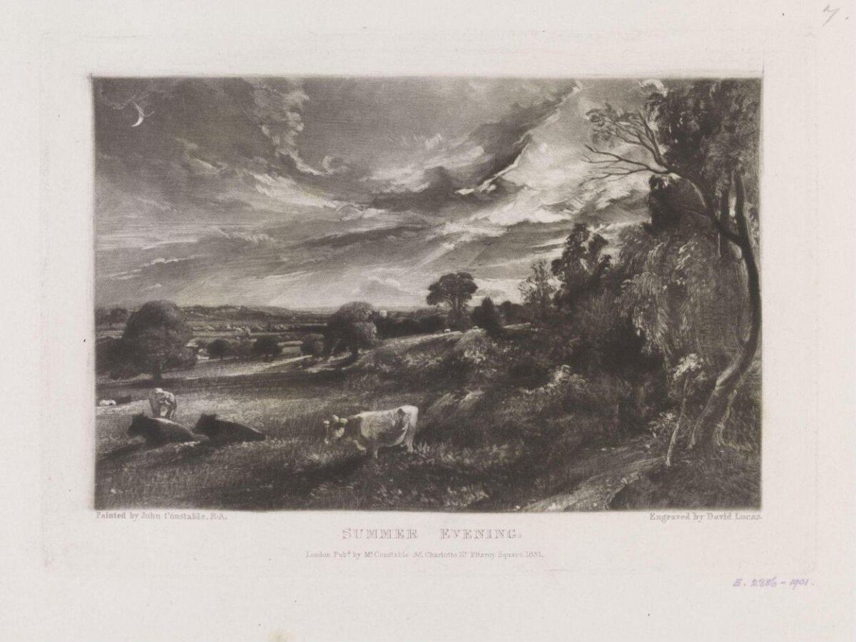 Summer Evening Landscape