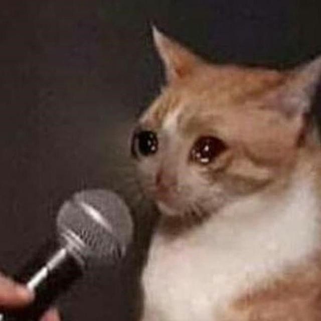 Crying Cat With Microphone — Stickers