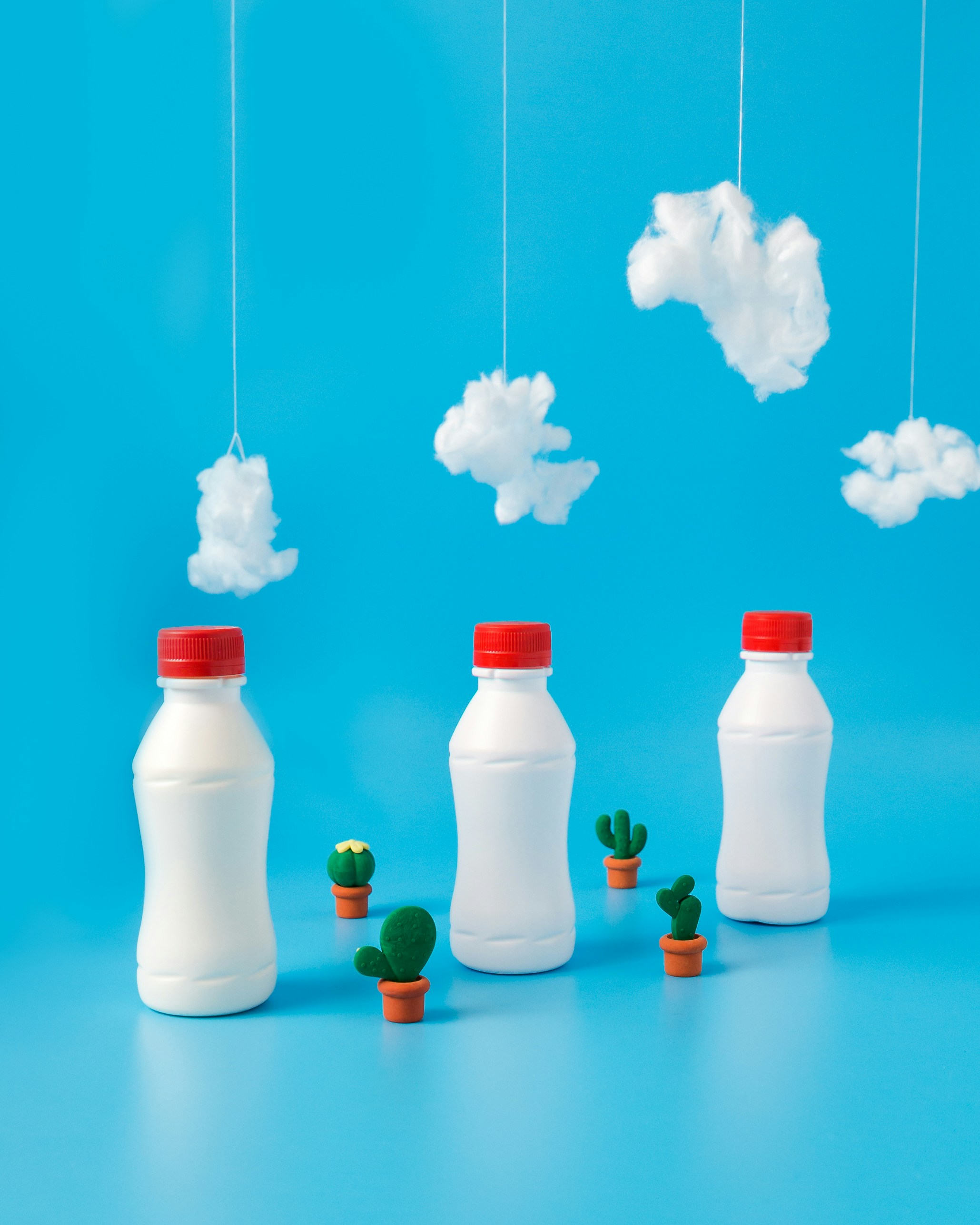 Creative Still Life of Bottles and Cacti — Minimal Wallpapers