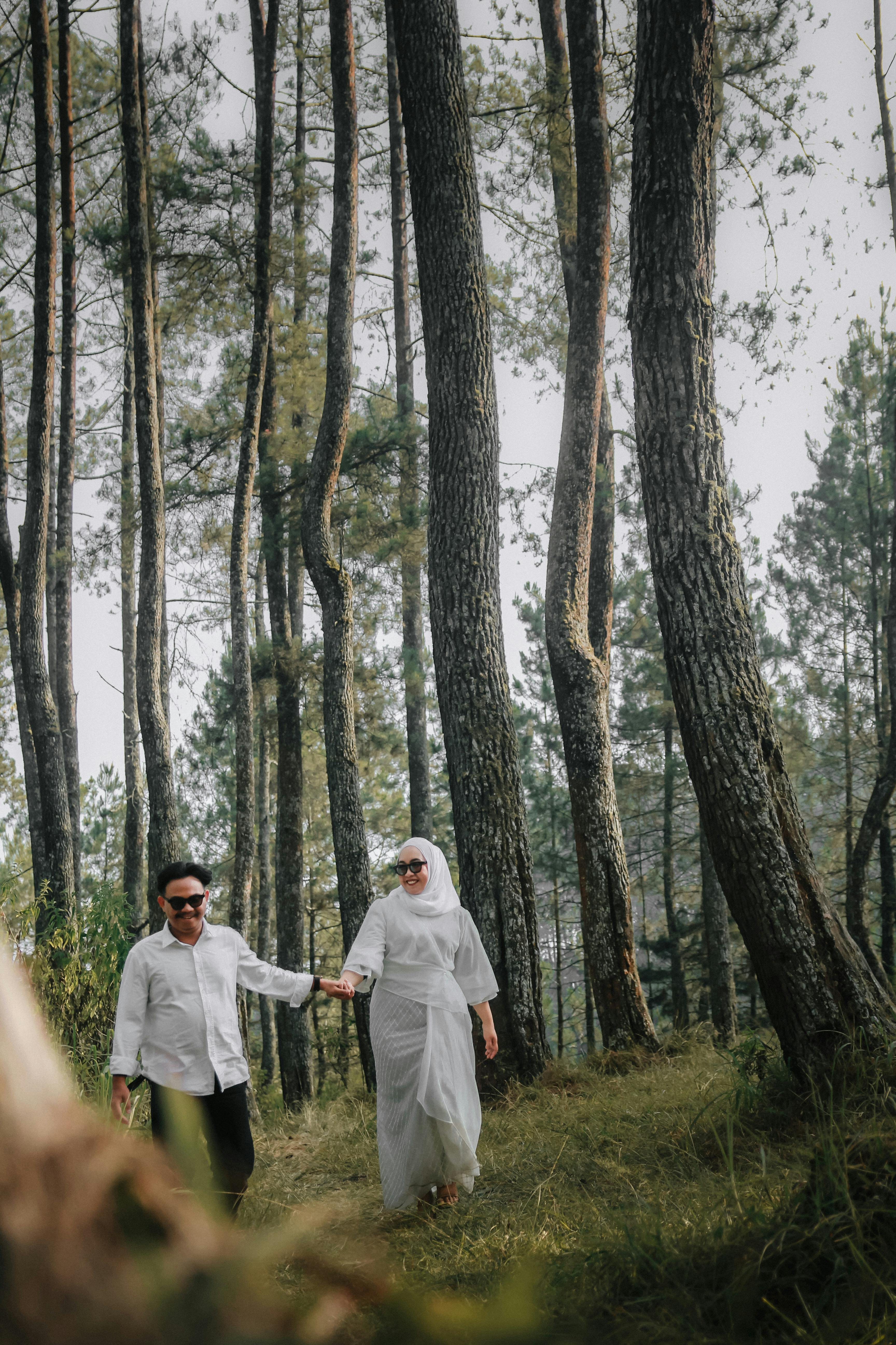 Couple Walking in Pine Forest
