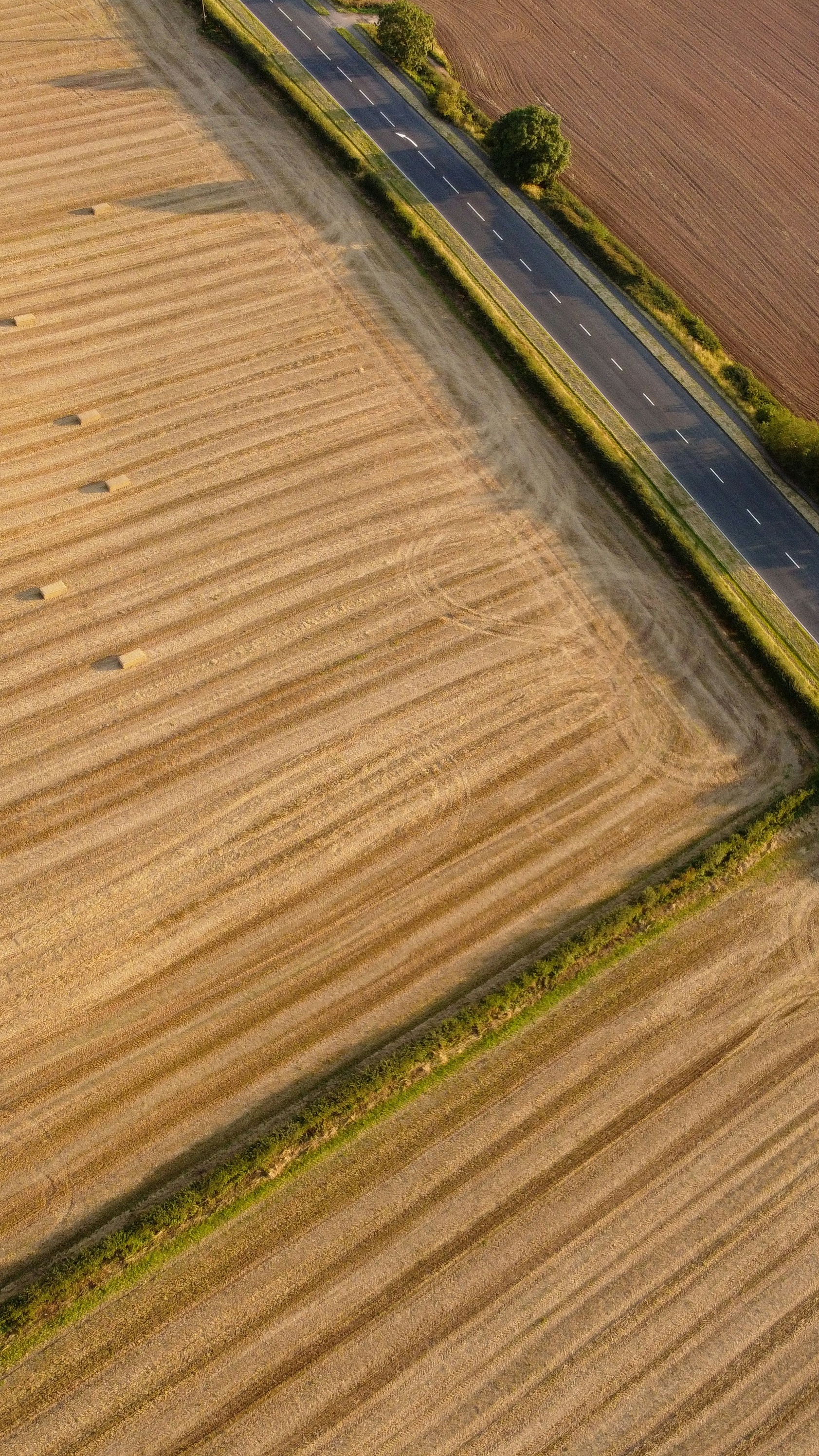 Wallpapers