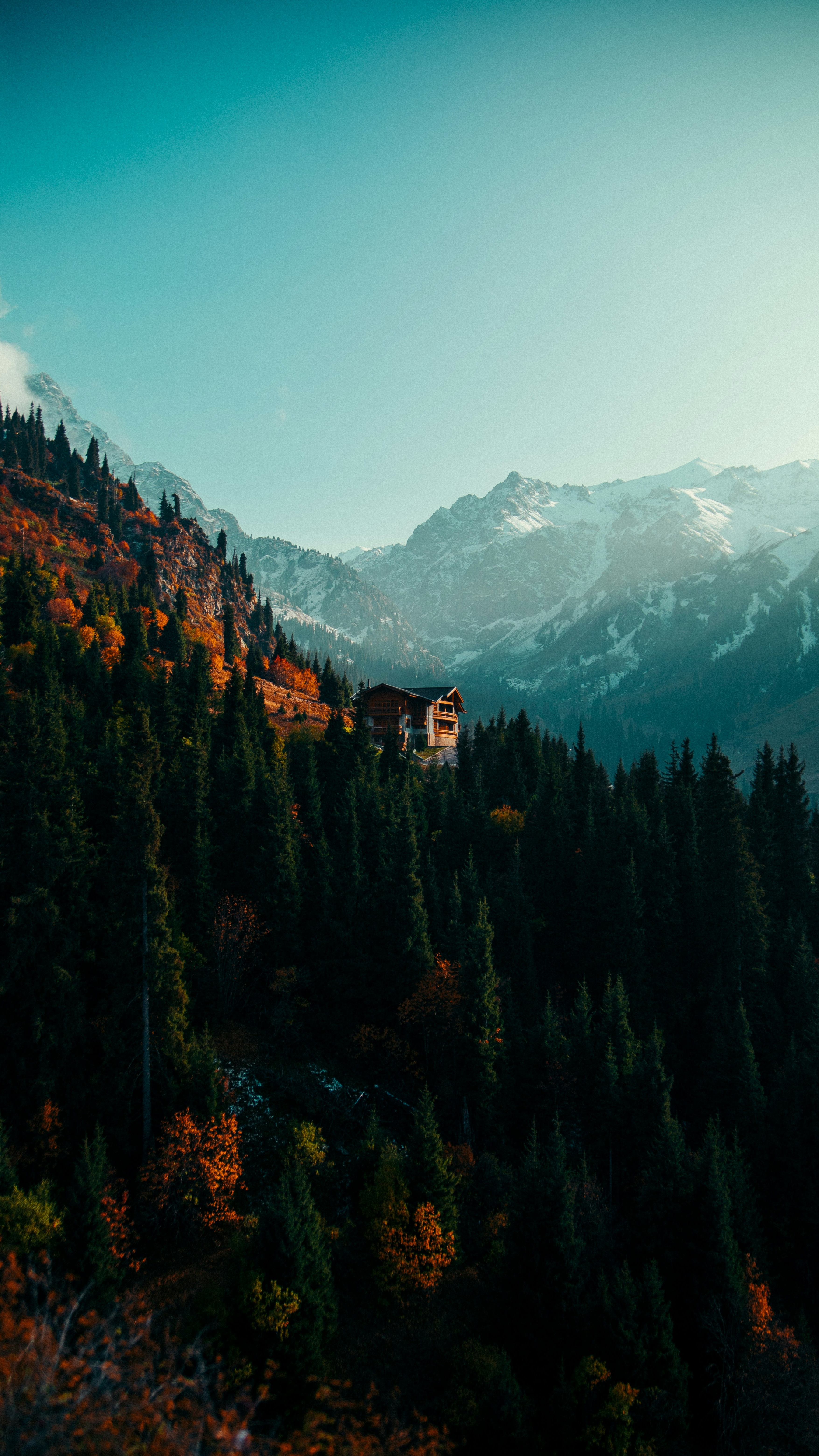 Wallpapers