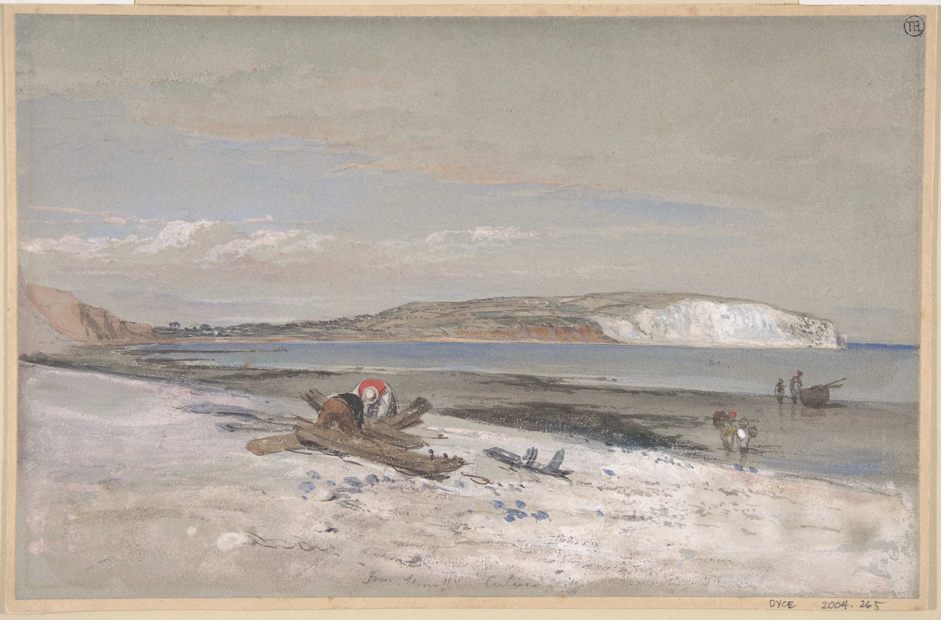 Coastal Beach with White Cliffs