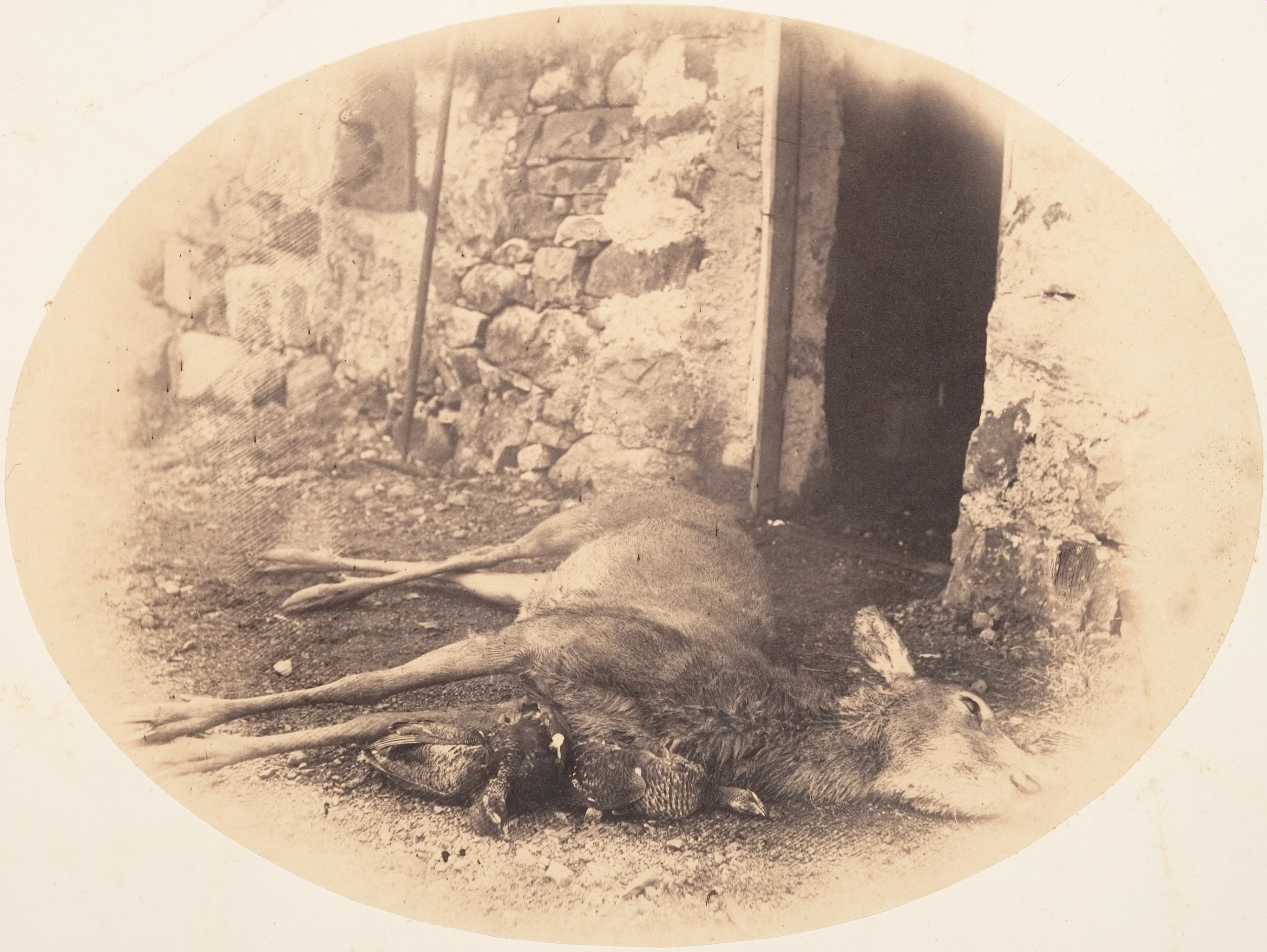 Hunted Deer and Game Birds