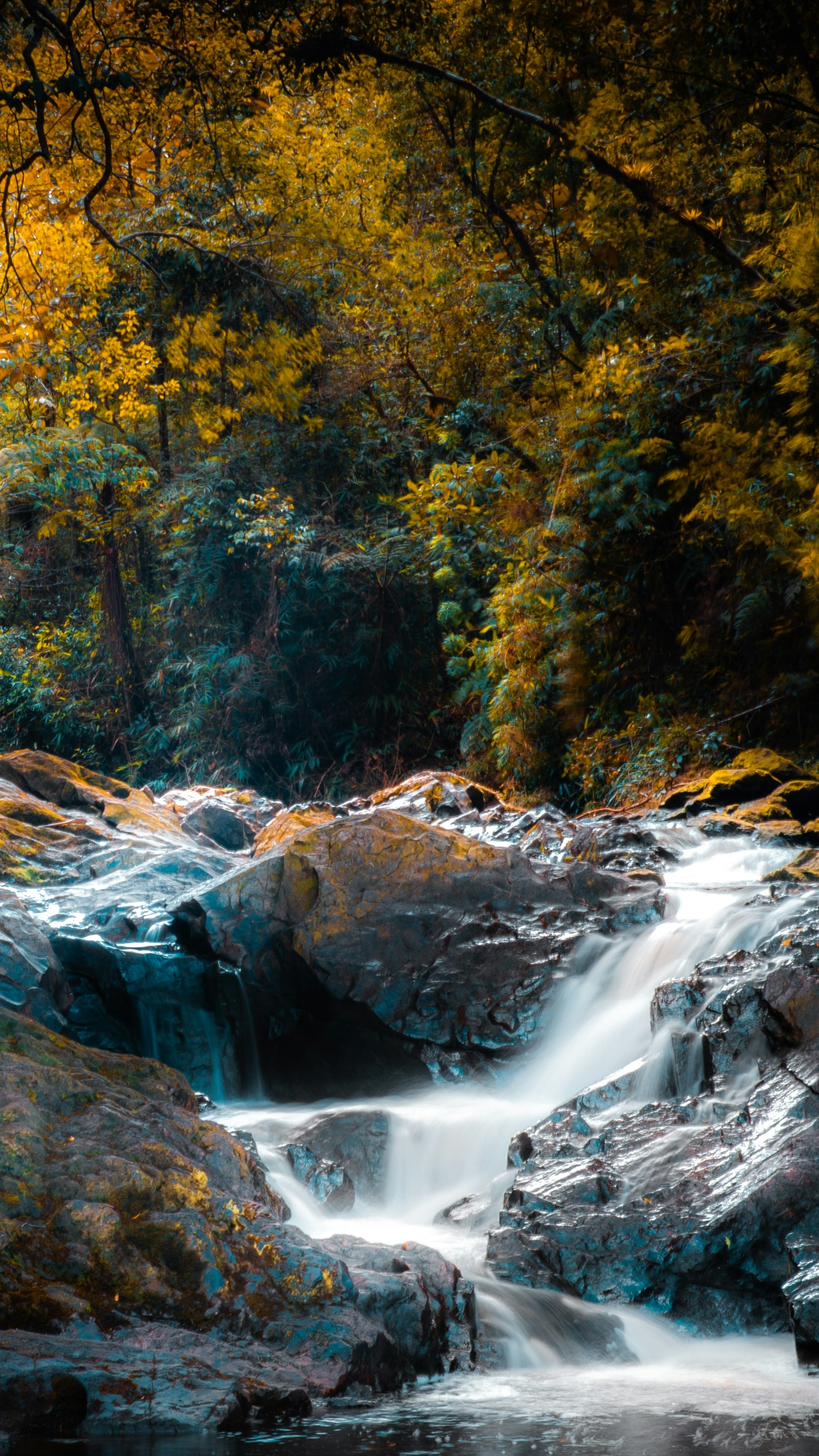 Image 1570808 — Images